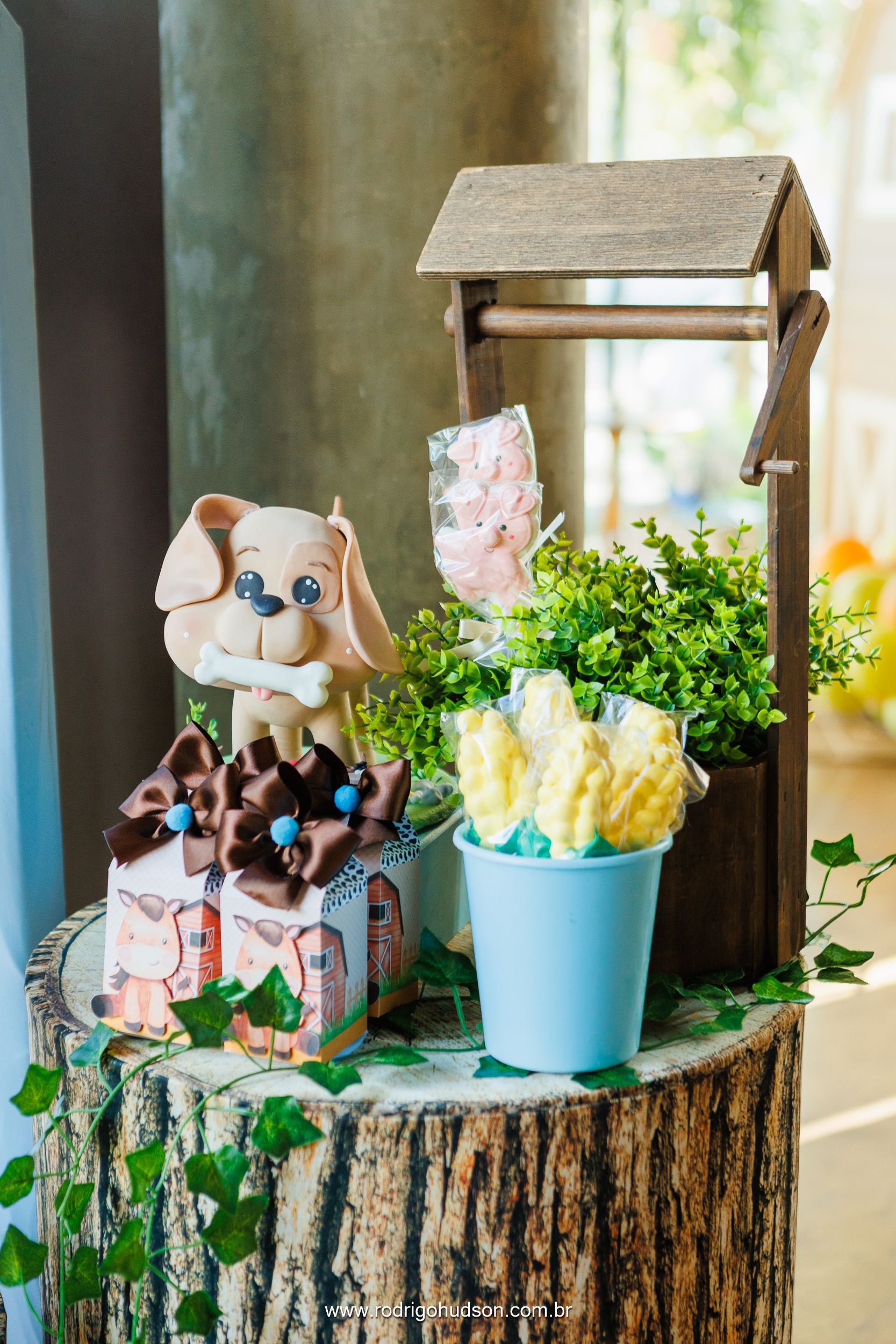 Giovanni Mazzini 1 ano - 1 - 8