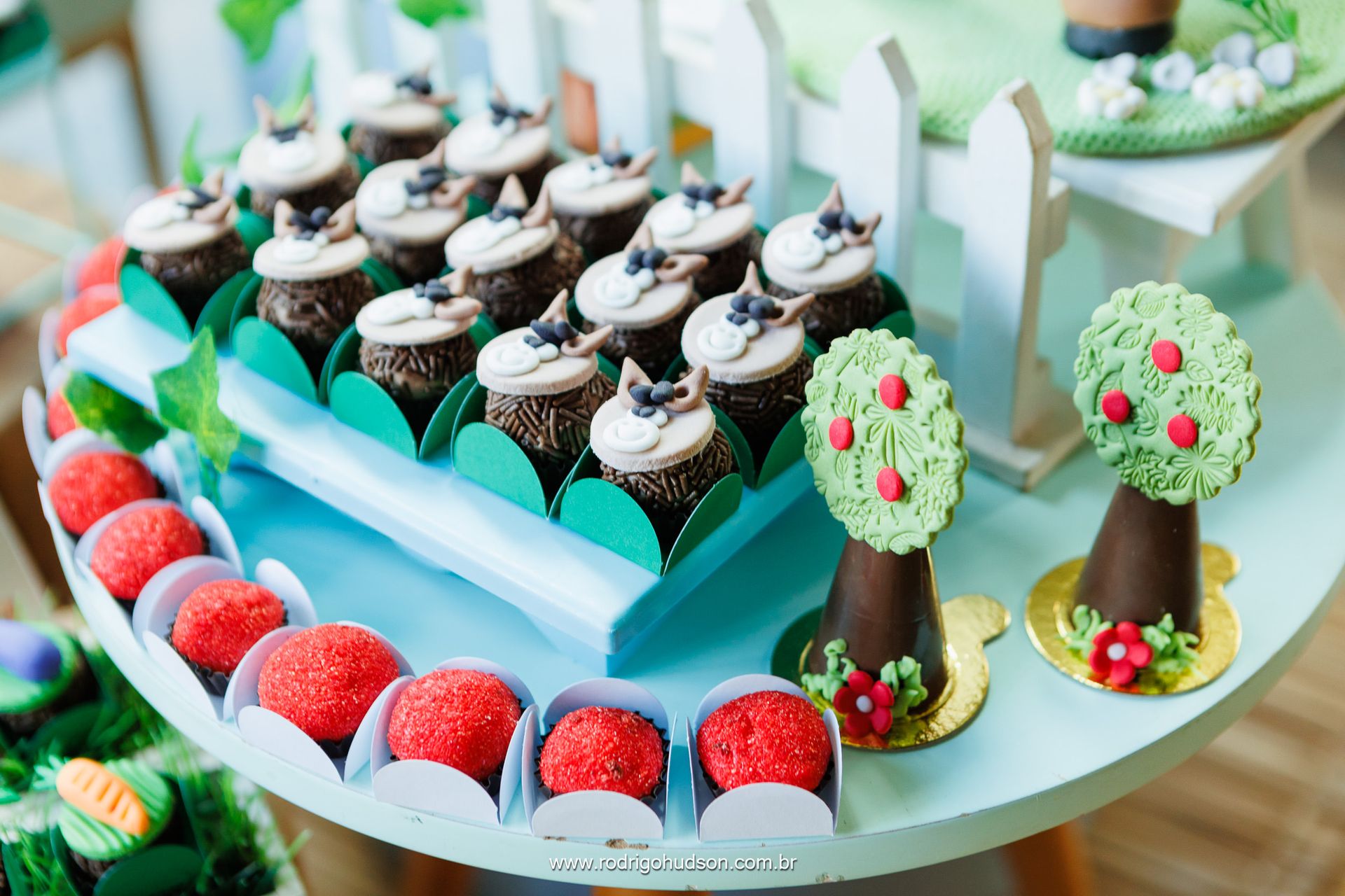 Giovanni Mazzini 1 ano - 1 - 10