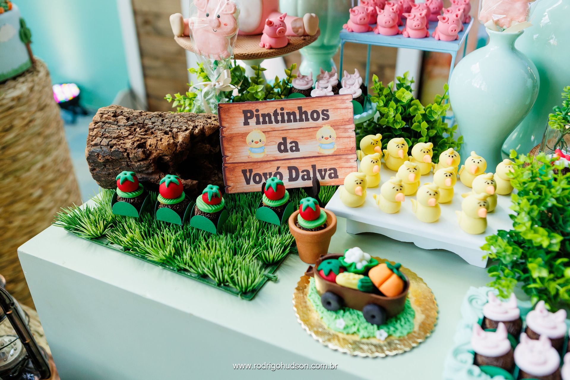 Giovanni Mazzini 1 ano - 1 - 13