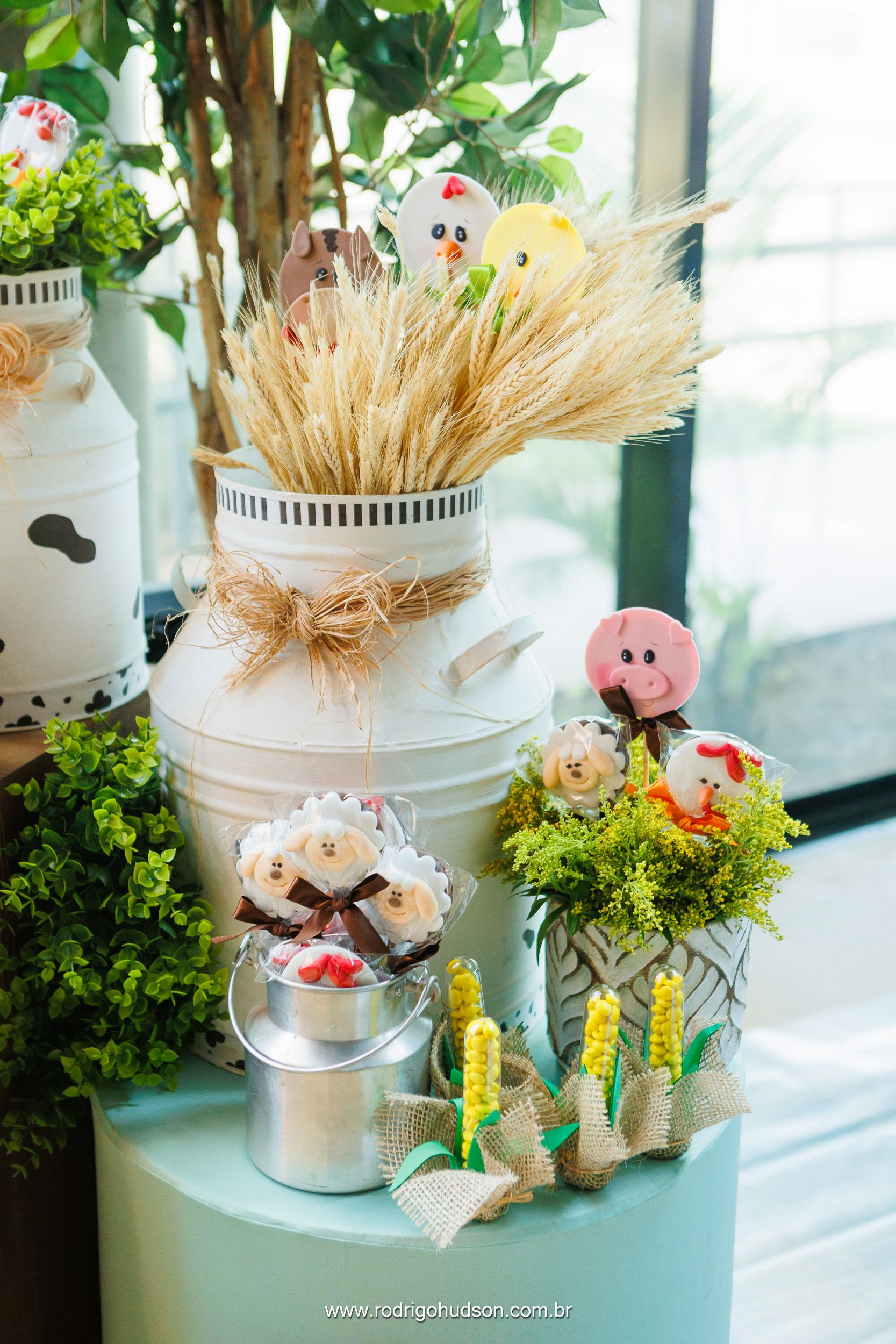 Giovanni Mazzini 1 ano - 1 - 21