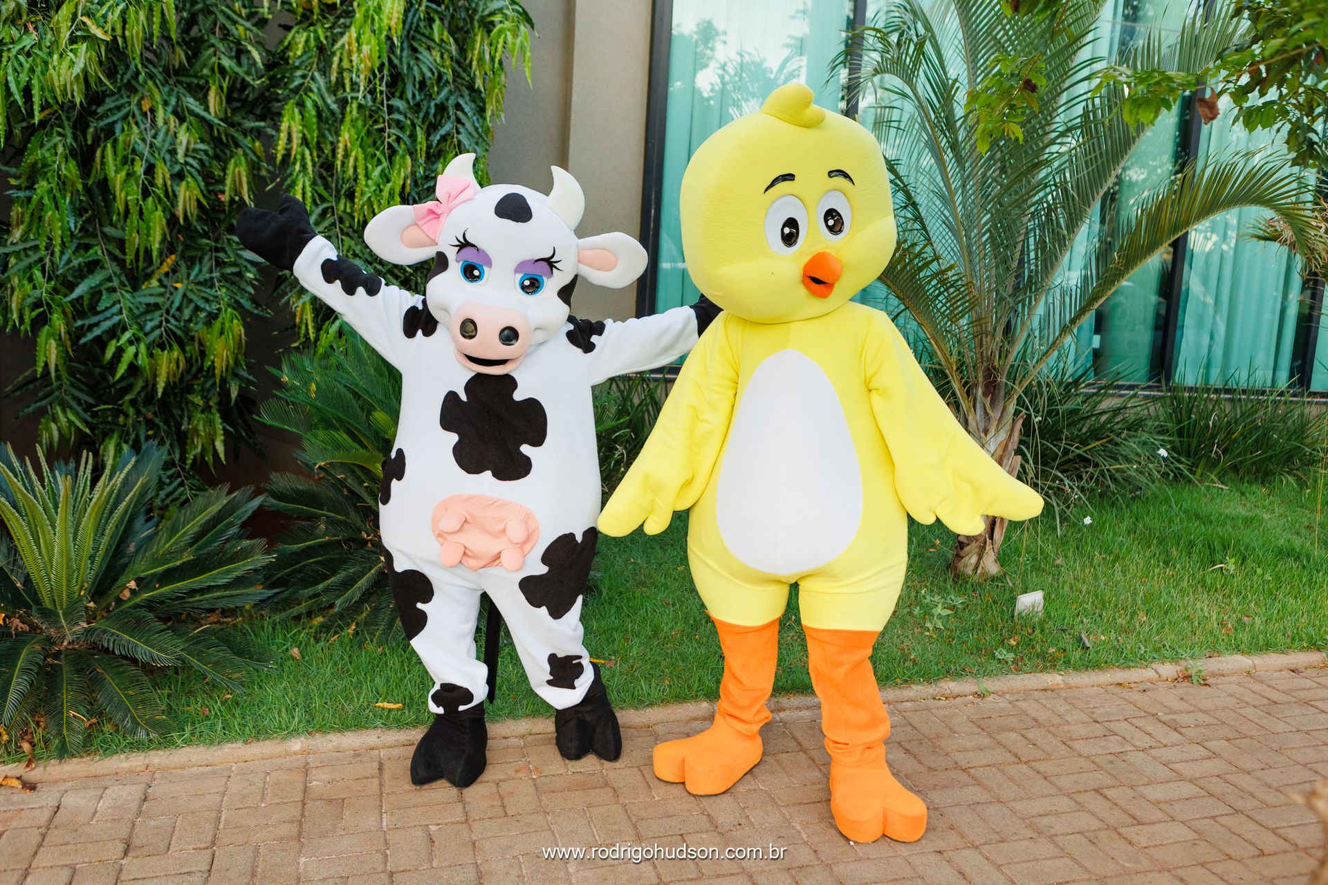 Giovanni Mazzini 1 ano - 1 - 68