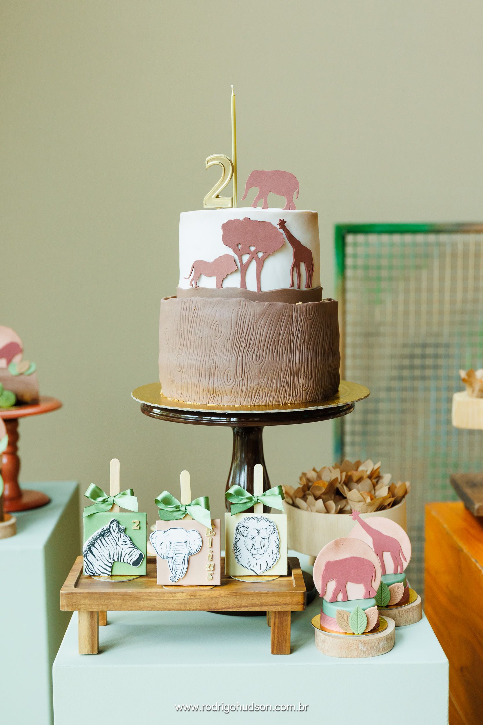 Elias Mauad 2 anos - 1 - 11