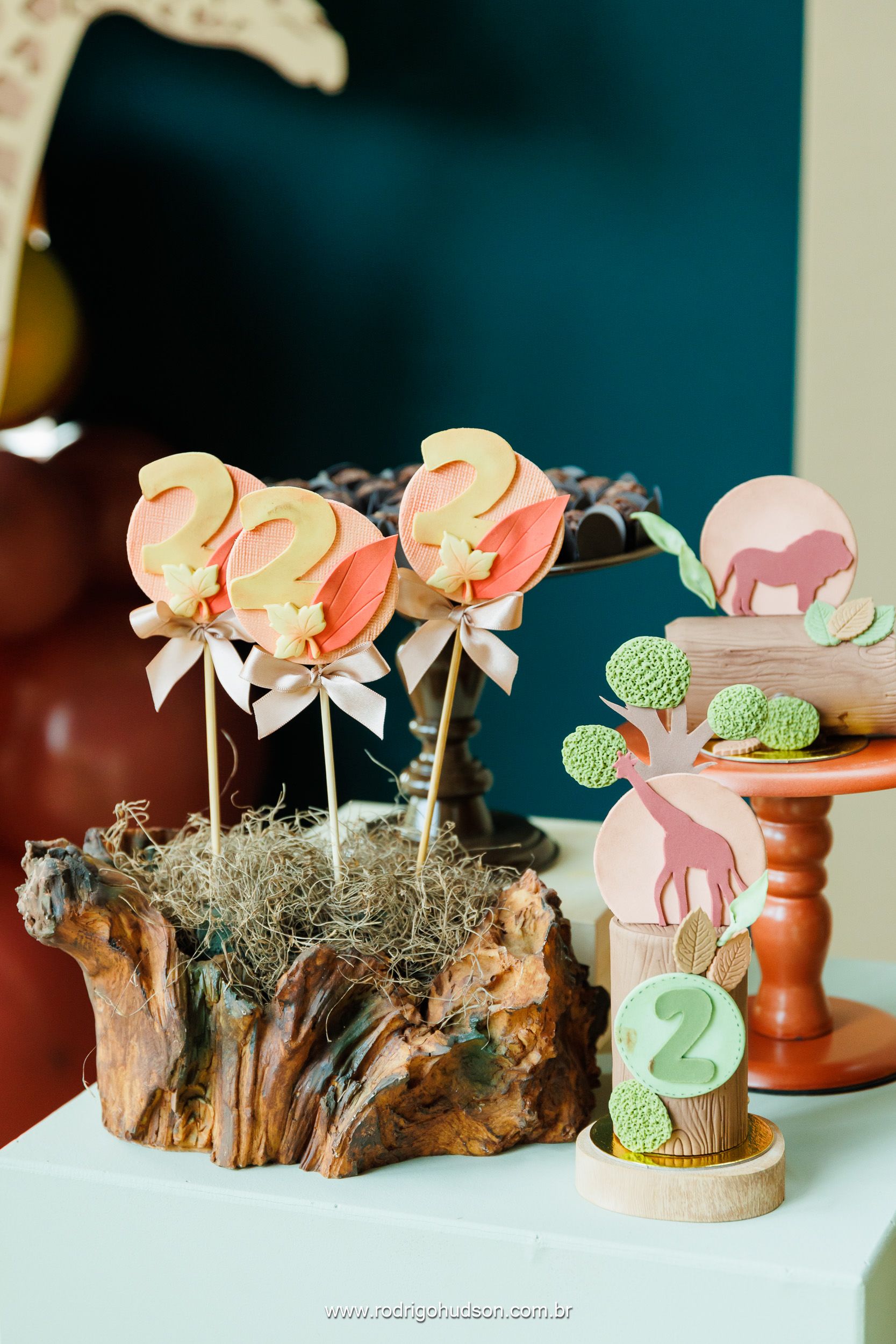 Elias Mauad 2 anos - 1 - 18