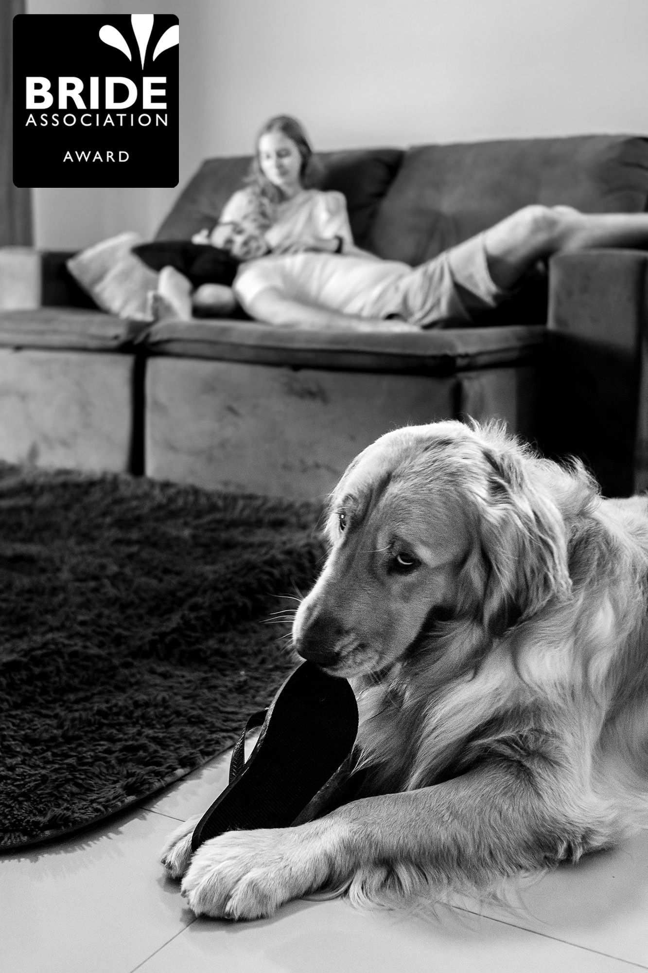 Fotos Premiadas - 1 - 0