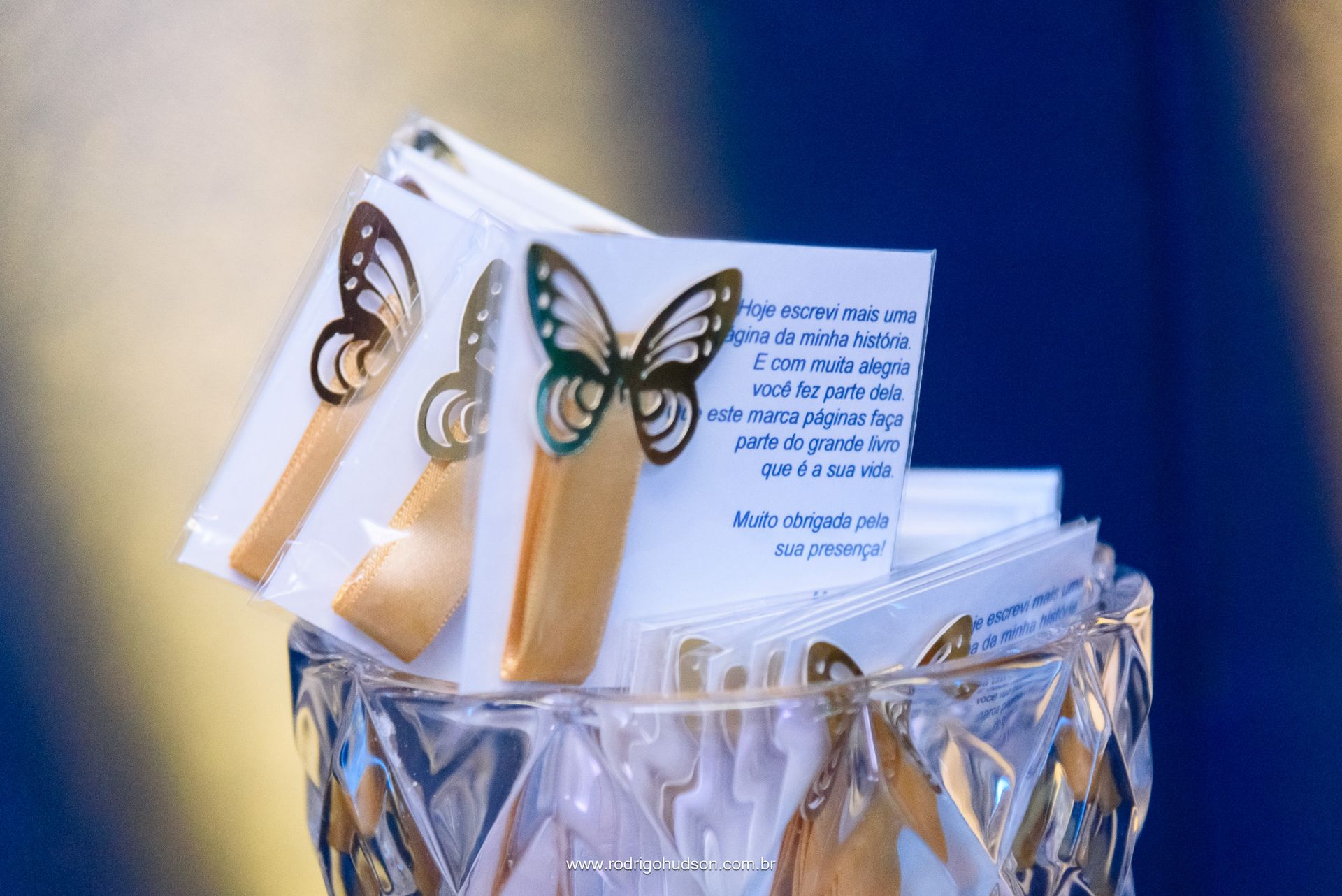 Helena Kmniecik 15 anos - 1 - 3