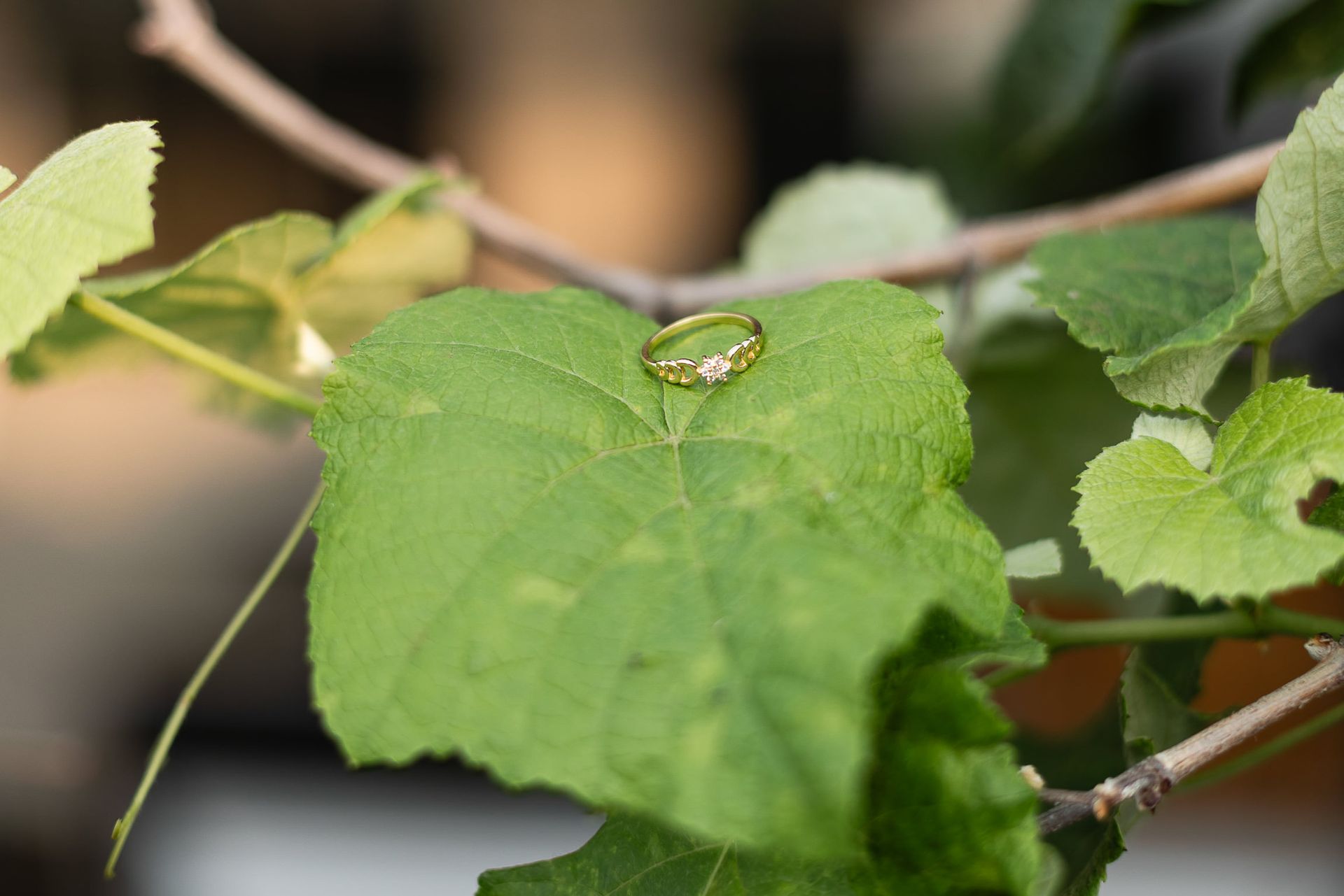 Casamento de Ana Carolina e Guilherme no Banespinha de Jaboticabal - SP - 1 - 2