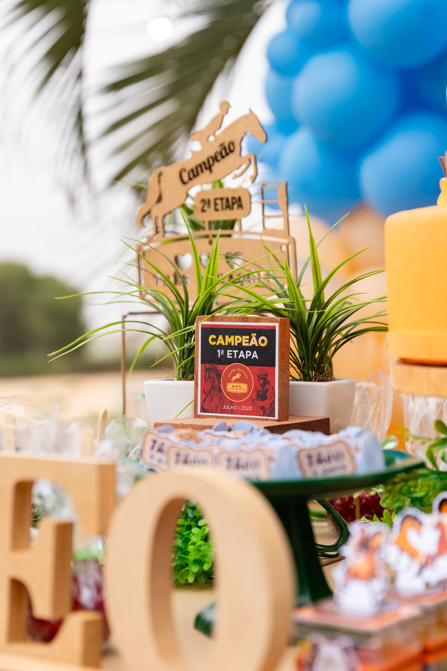 Théo Donadon 4 anos - 1 - 7