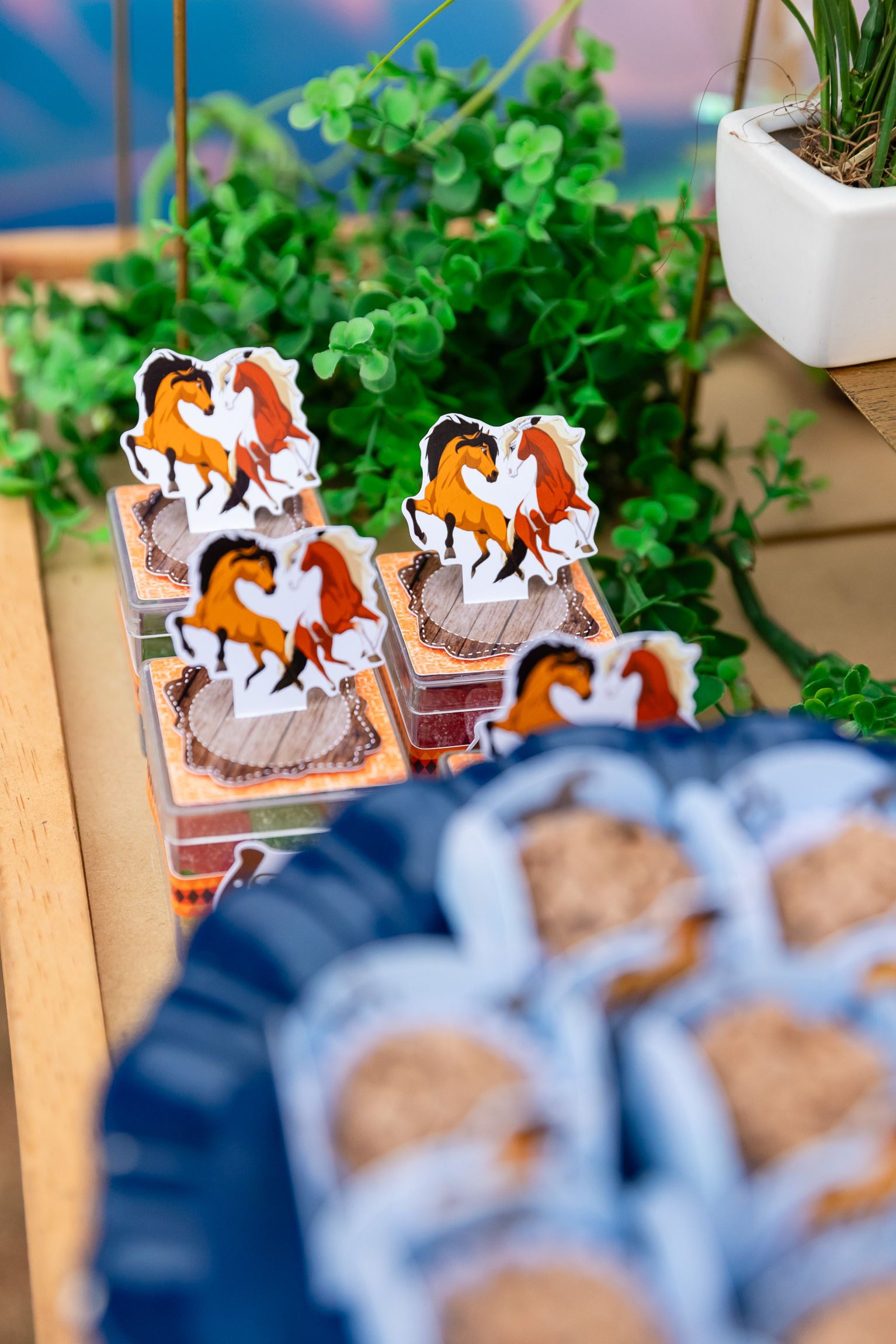 Théo Donadon 4 anos - 1 - 9