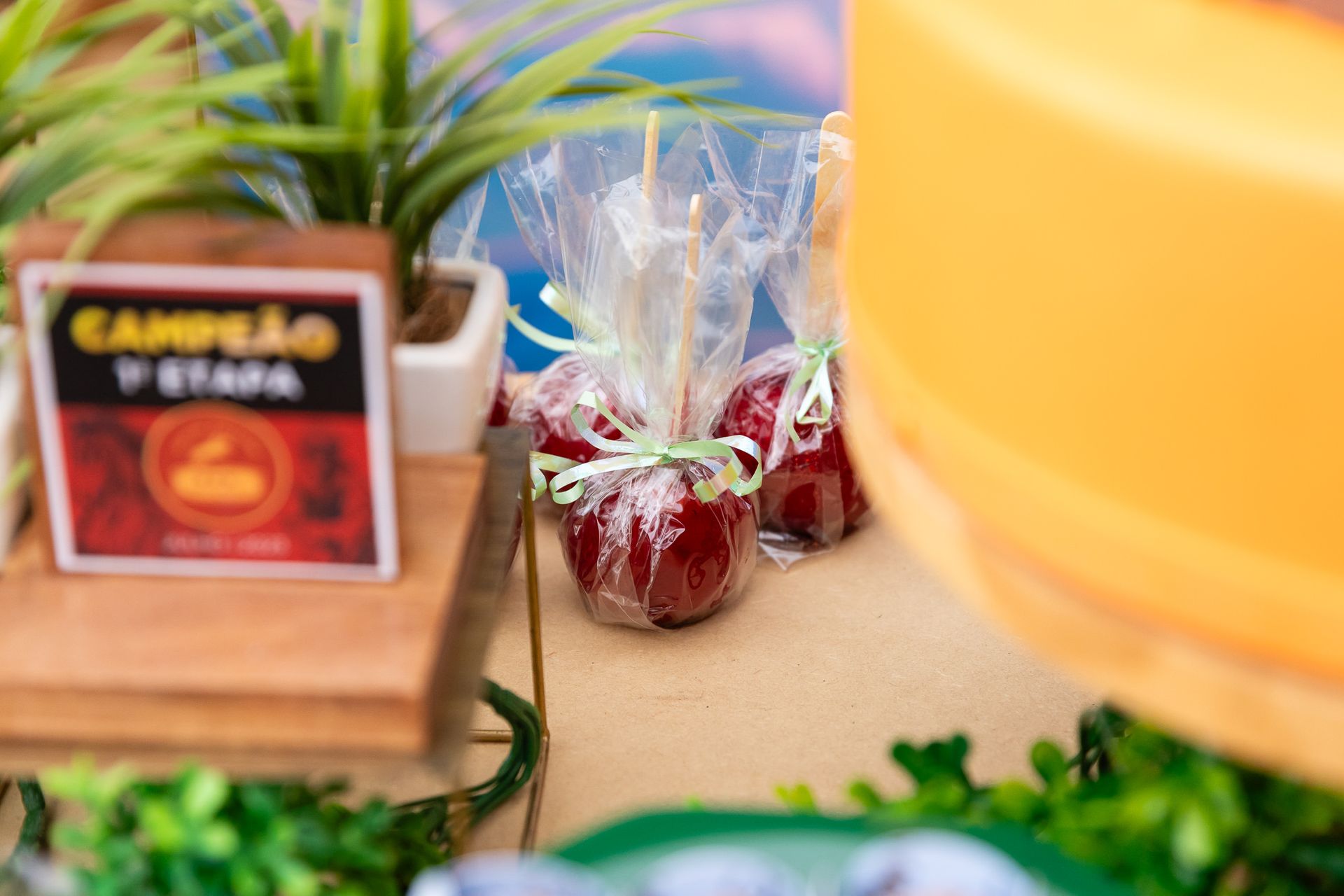 Théo Donadon 4 anos - 1 - 10