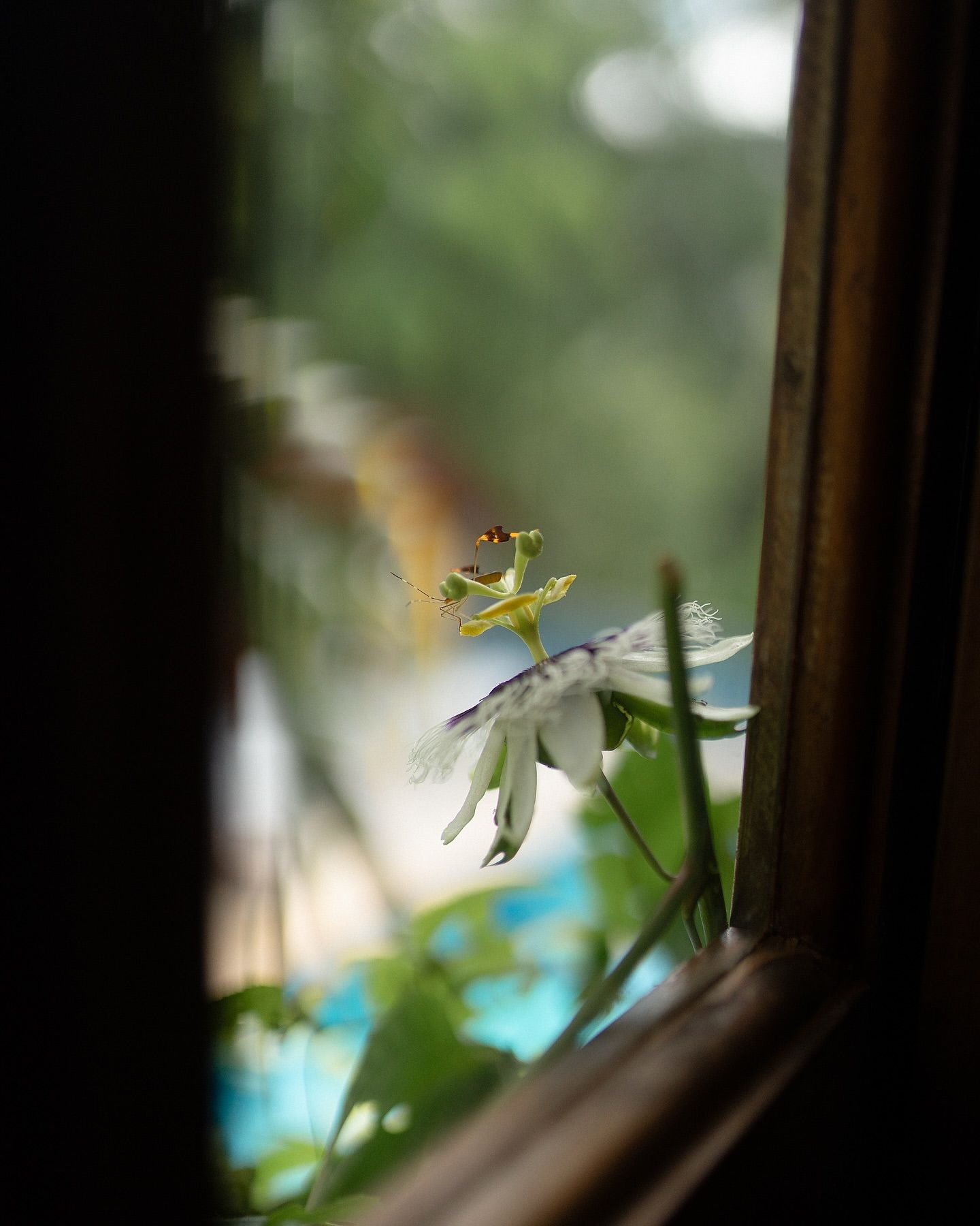 Casamento Ni e Ygor - 3 - 1