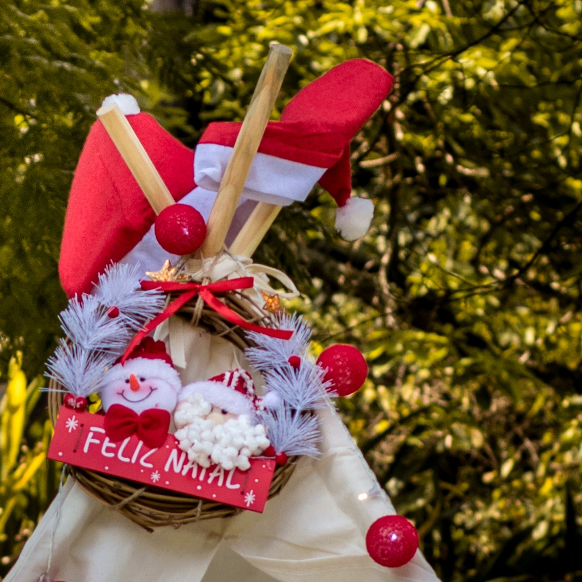 Ensaio de Natal no Parque - Família Lemos Cavalcanti - 2 - 1