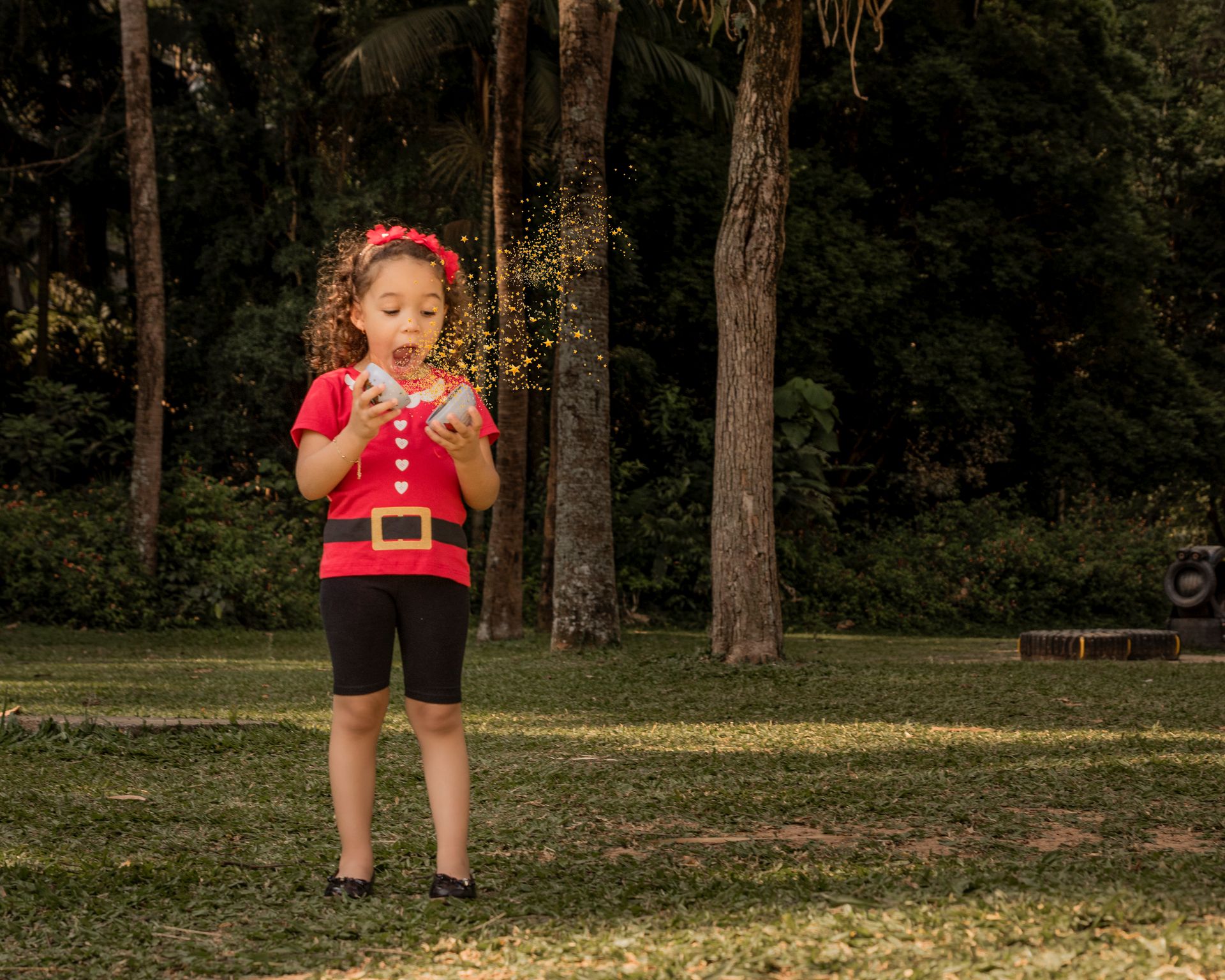 Ensaio de Natal no Parque - Família Lemos Cavalcanti - 2 - 0