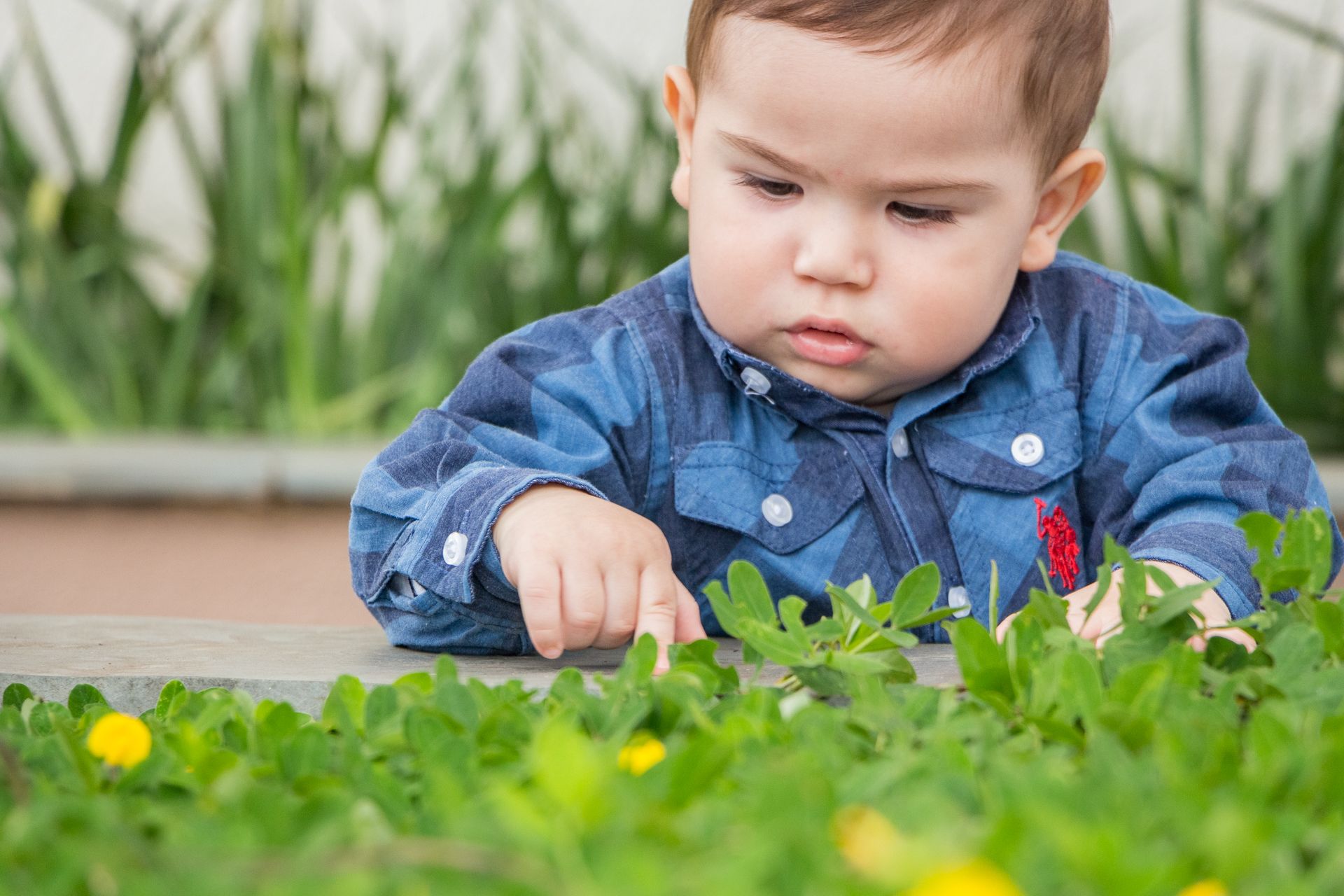 Aniversário Infantil - Lorenzo 1 aninho - 2 - 1