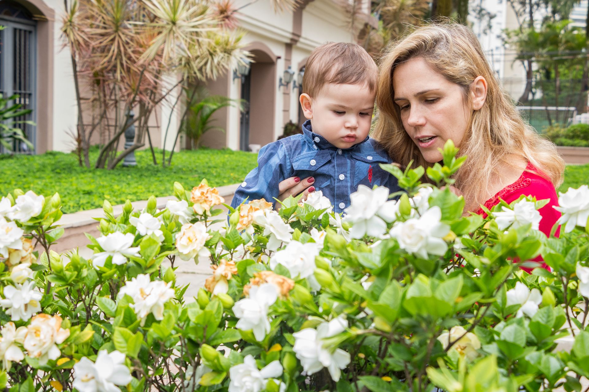 Aniversário Infantil - Lorenzo 1 aninho - 2 - 2