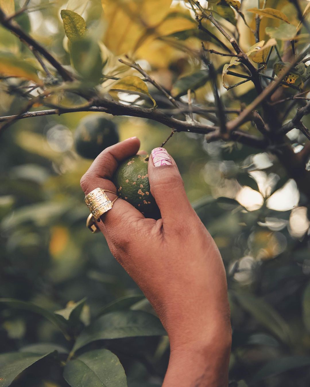 Ensaio feminino - 1 - 13