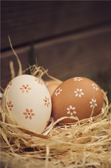 O Equinócio e a Integração - 3 - 14