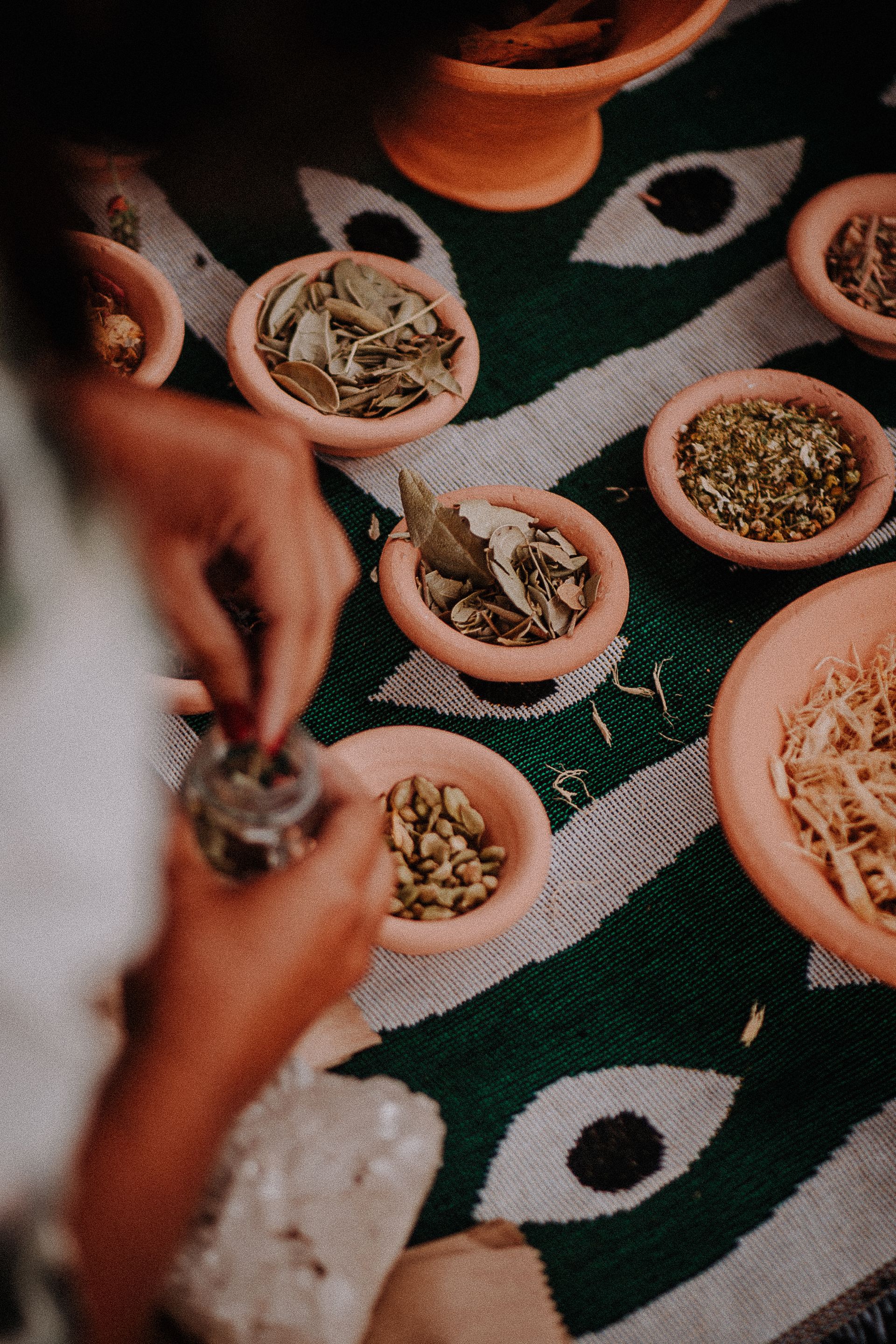 Retiro YIERBA 2024 Floripa - 1 - 16