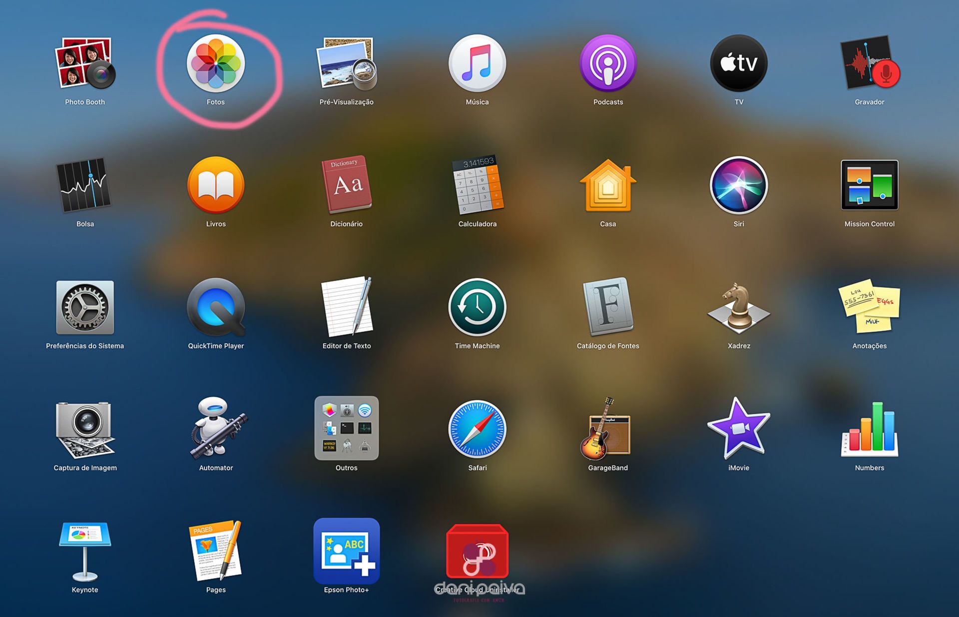 Organizando as Suas Fotos Digitais - 2 - 0