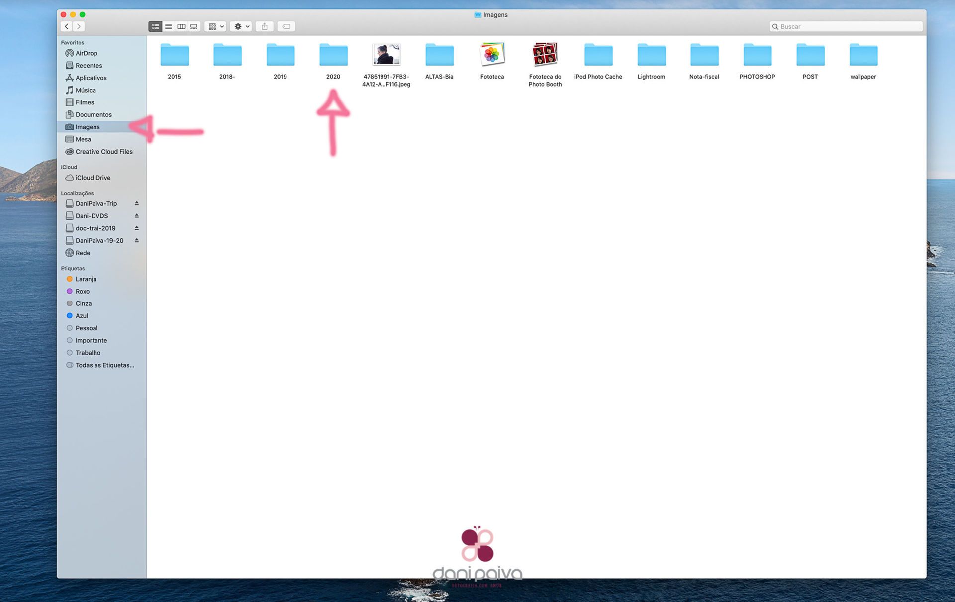 Organizando as Suas Fotos Digitais - 2 - 3