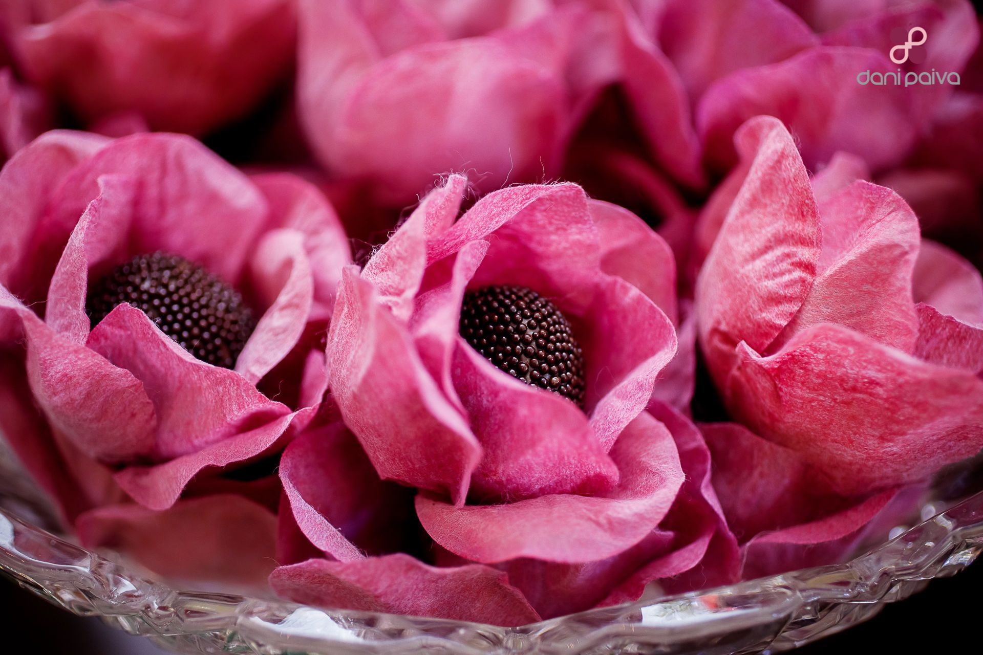 Aniversário de 80 Anos - 2 - 36