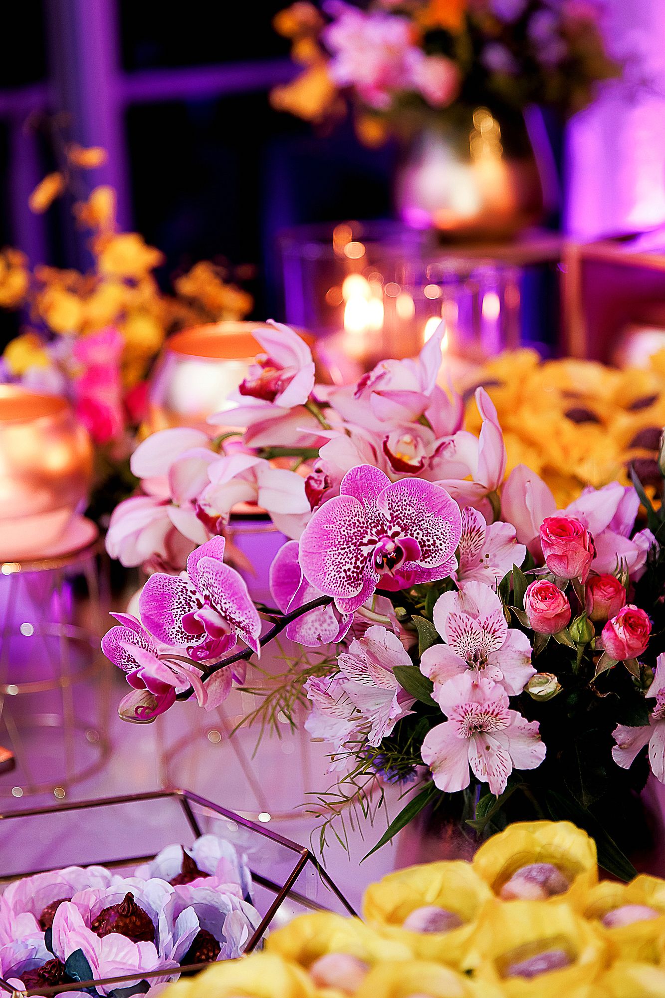 Festa de 15 Anos - 2 - 0