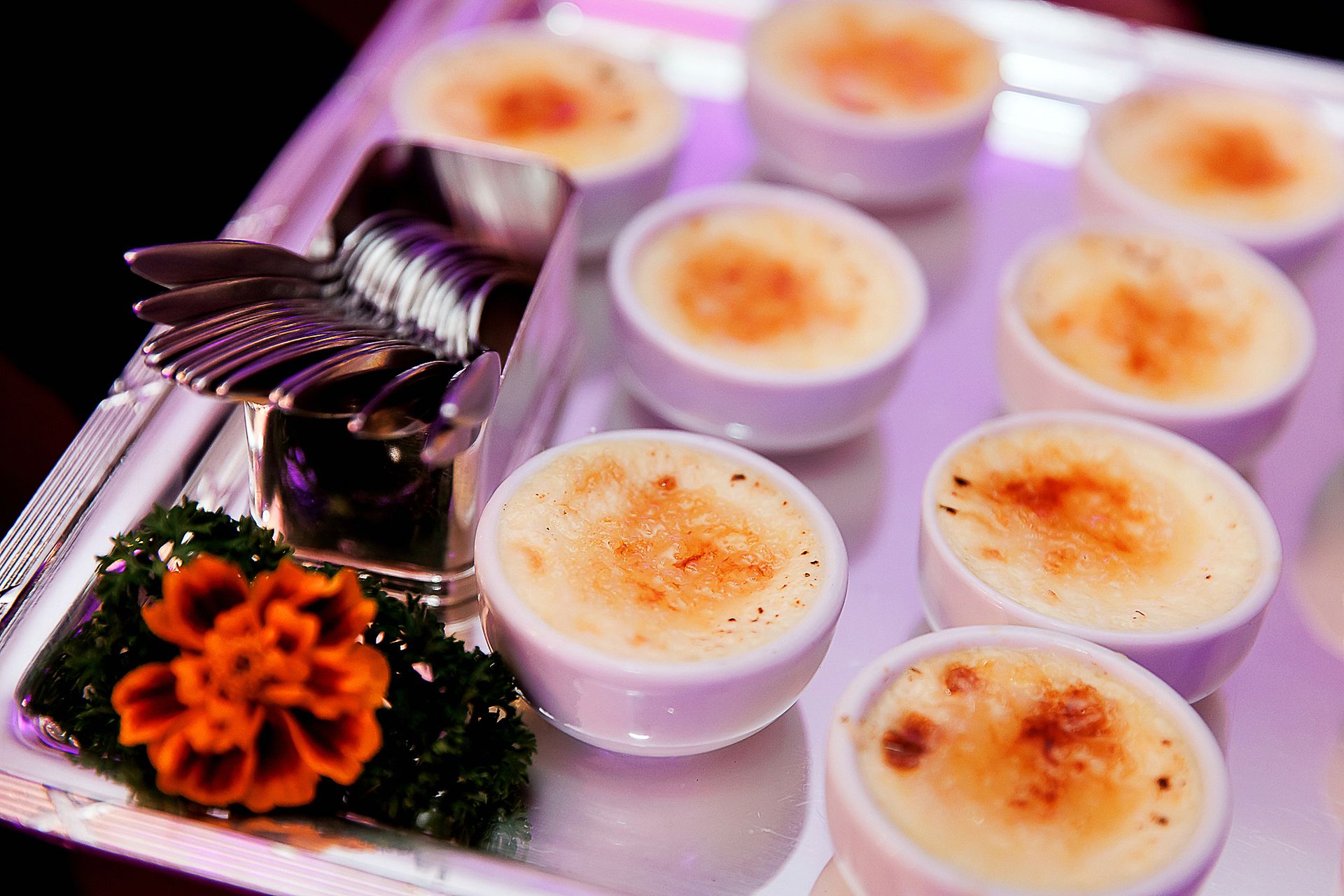 Uma Noite Especial: Festa de 15 Anos da Maria Laura e da Mamãe Milena Fraga. - 4 - 0