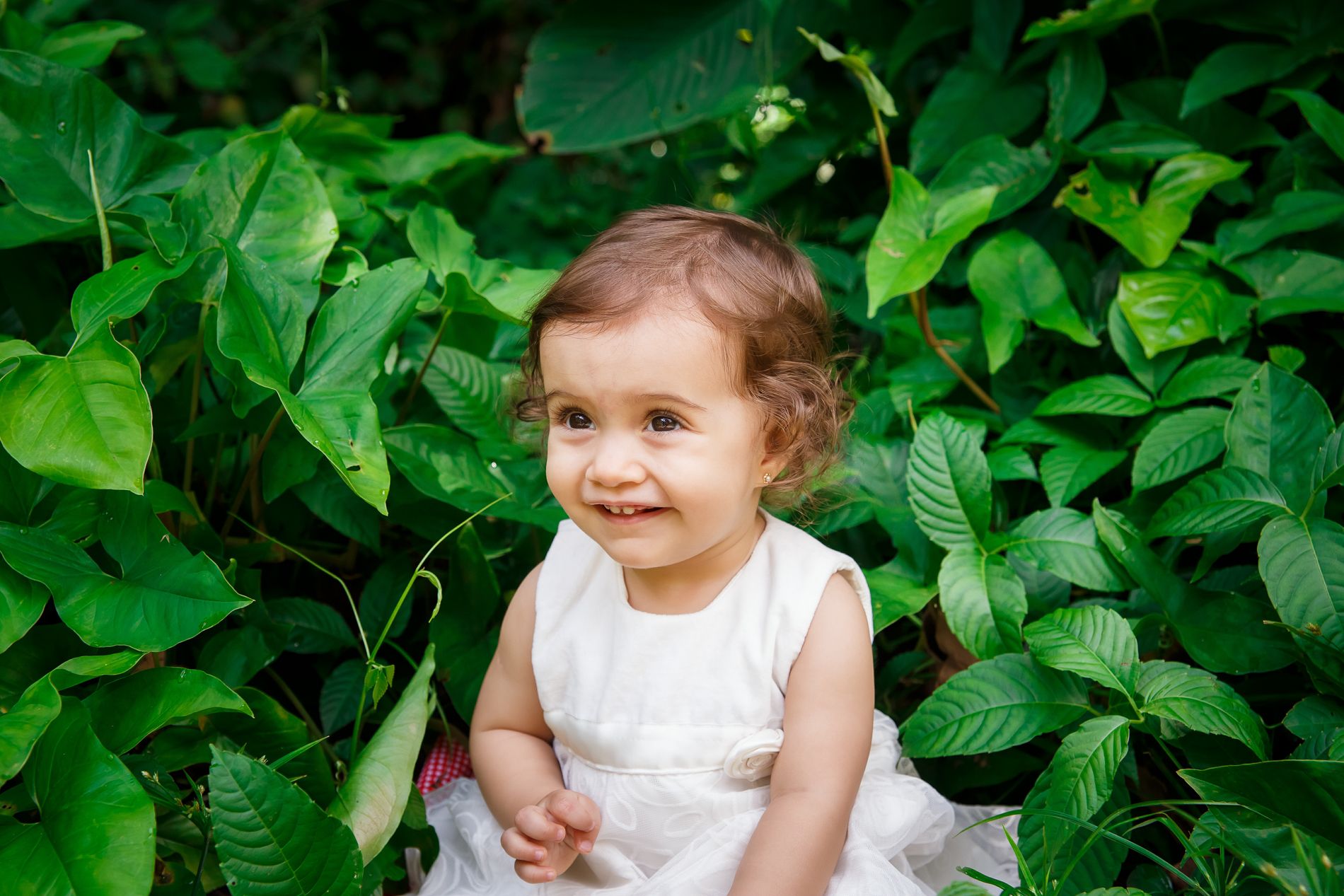 O Maravilhoso Ciclo de Um Ano: Encerrando o Acompanhamento da Milena com um Ensaio Familiar no Parque Lage - 2 - 18