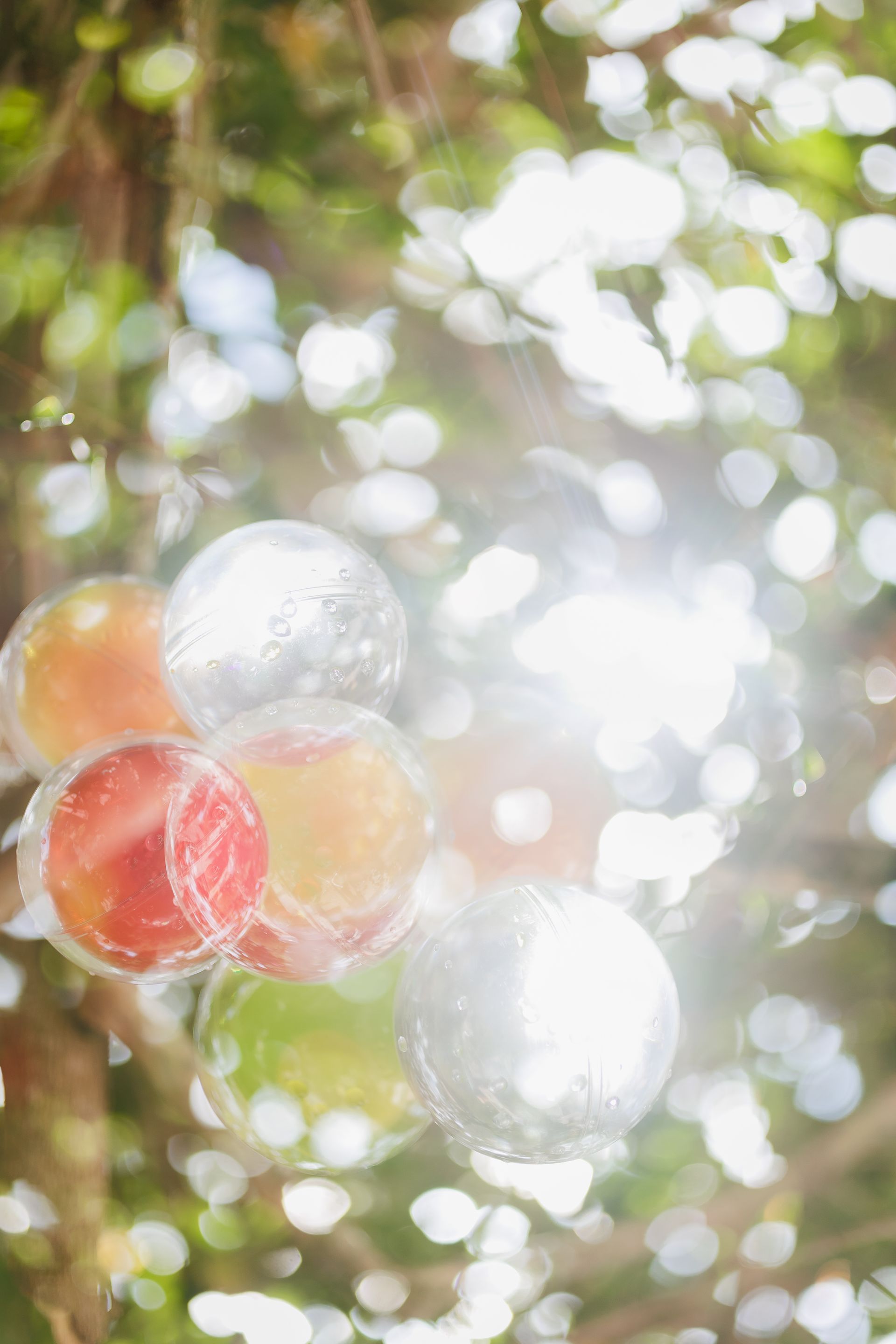 Semeando Água - 2 - 12