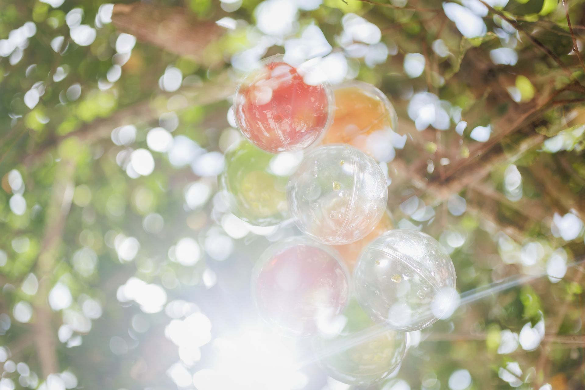 Semeando Água - 2 - 13