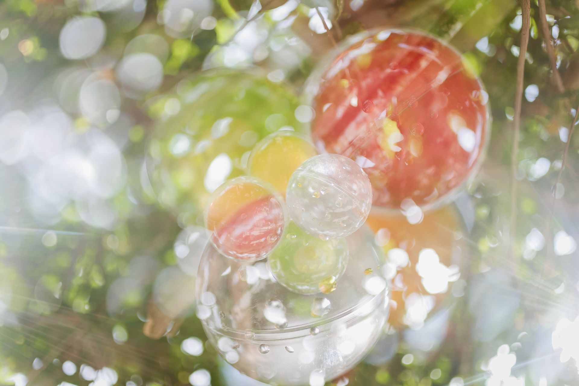 Semeando Água - 2 - 11