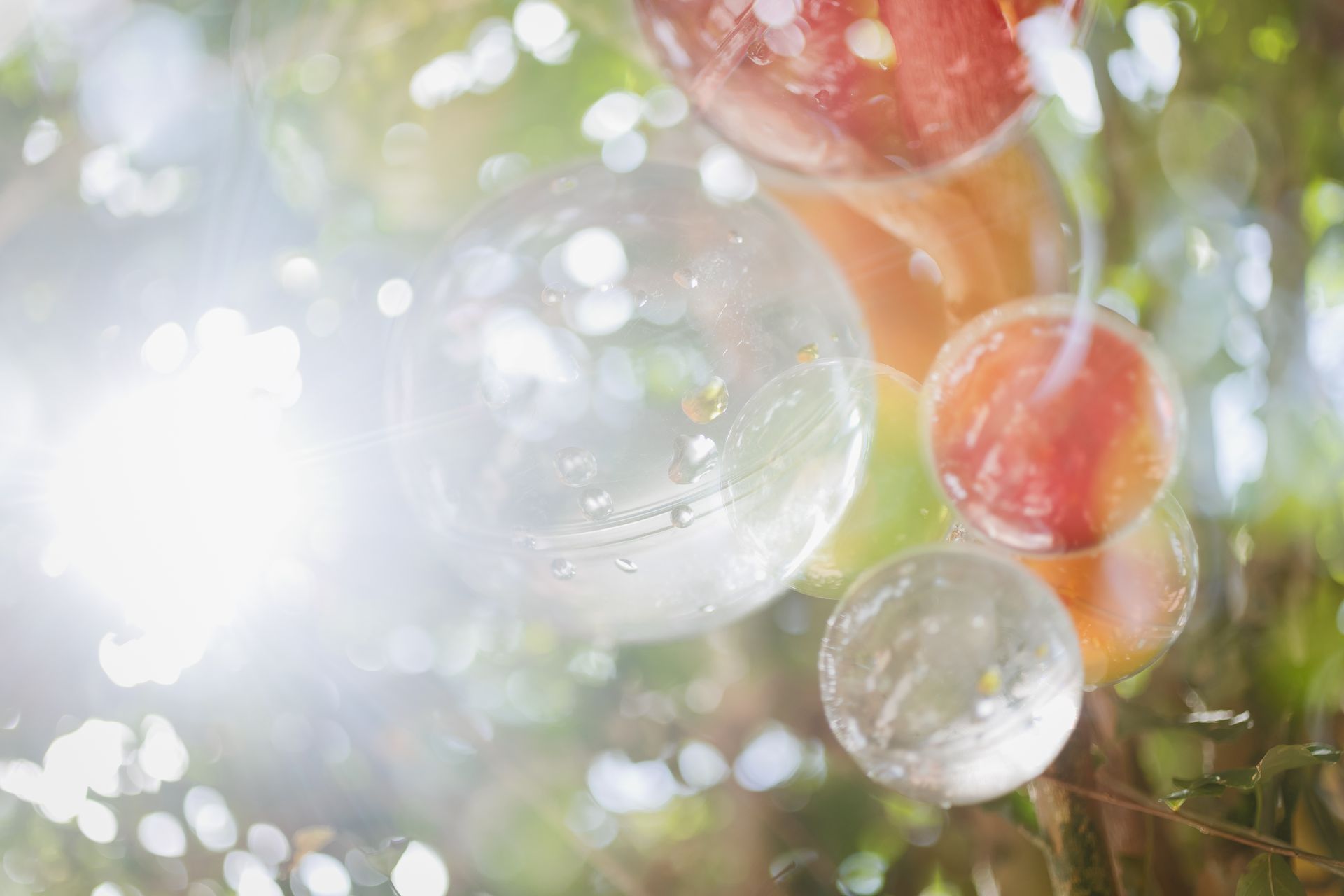 Semeando Água - 2 - 14