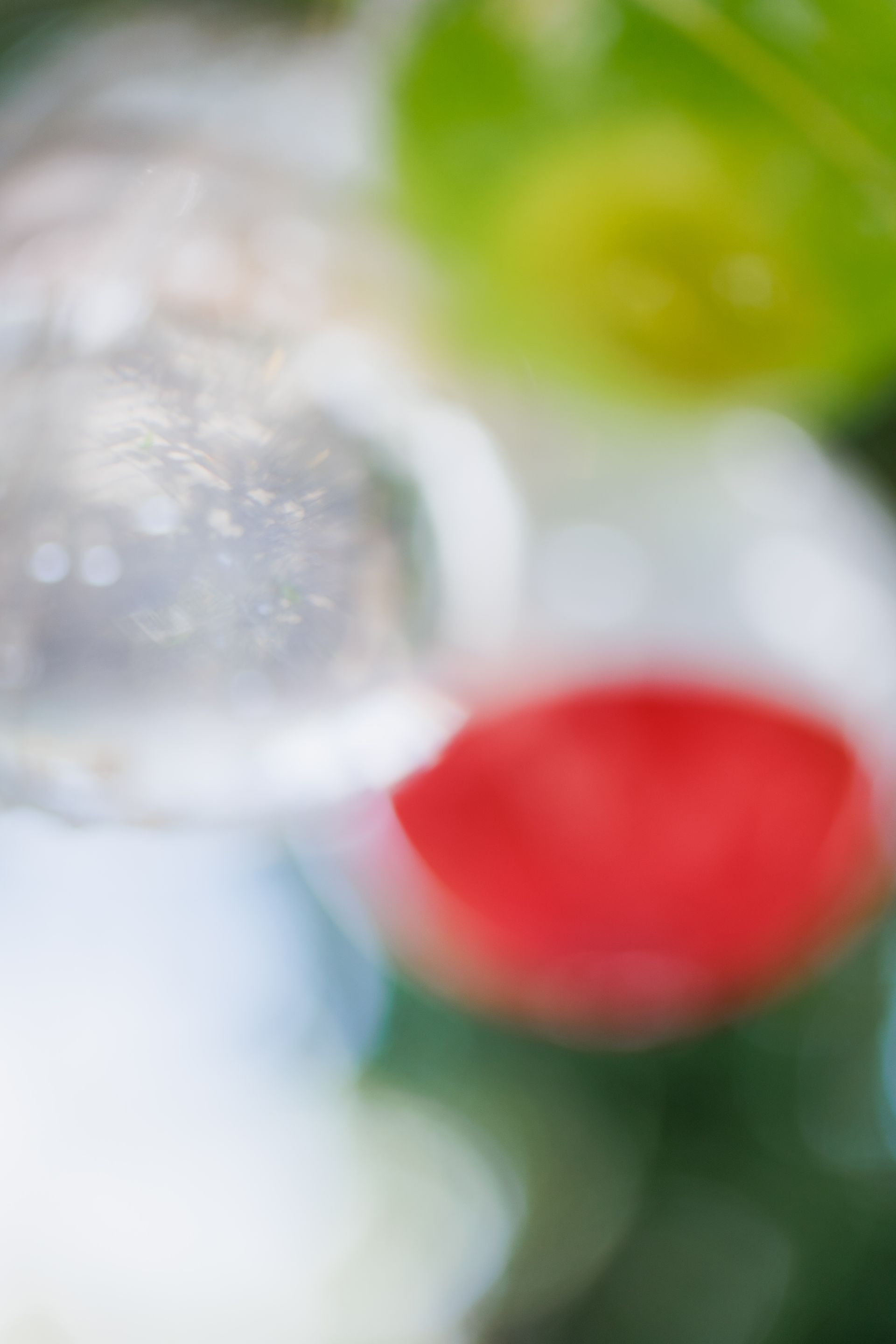 Semeando Água - 2 - 15