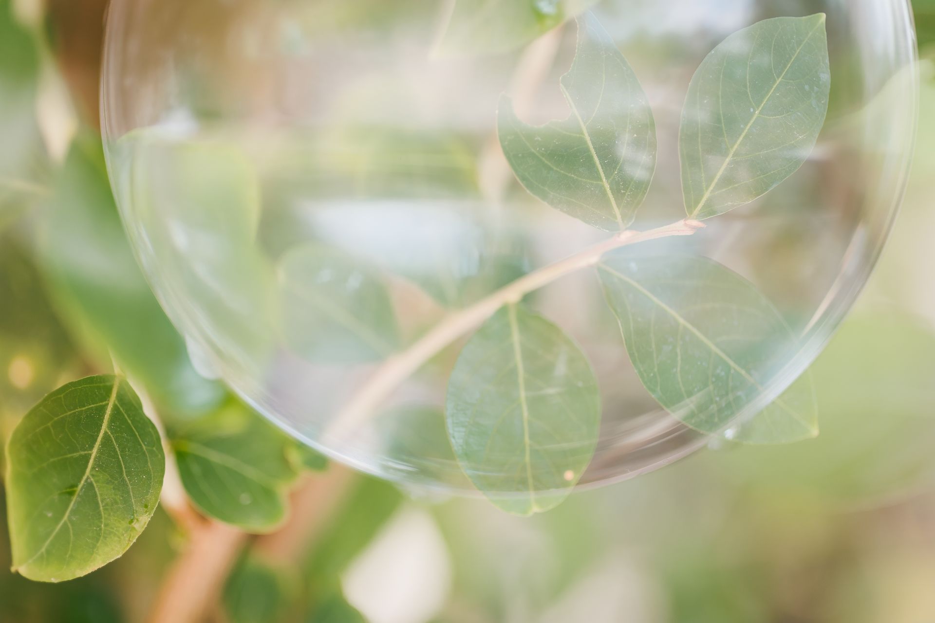 Semeando Água - 2 - 16