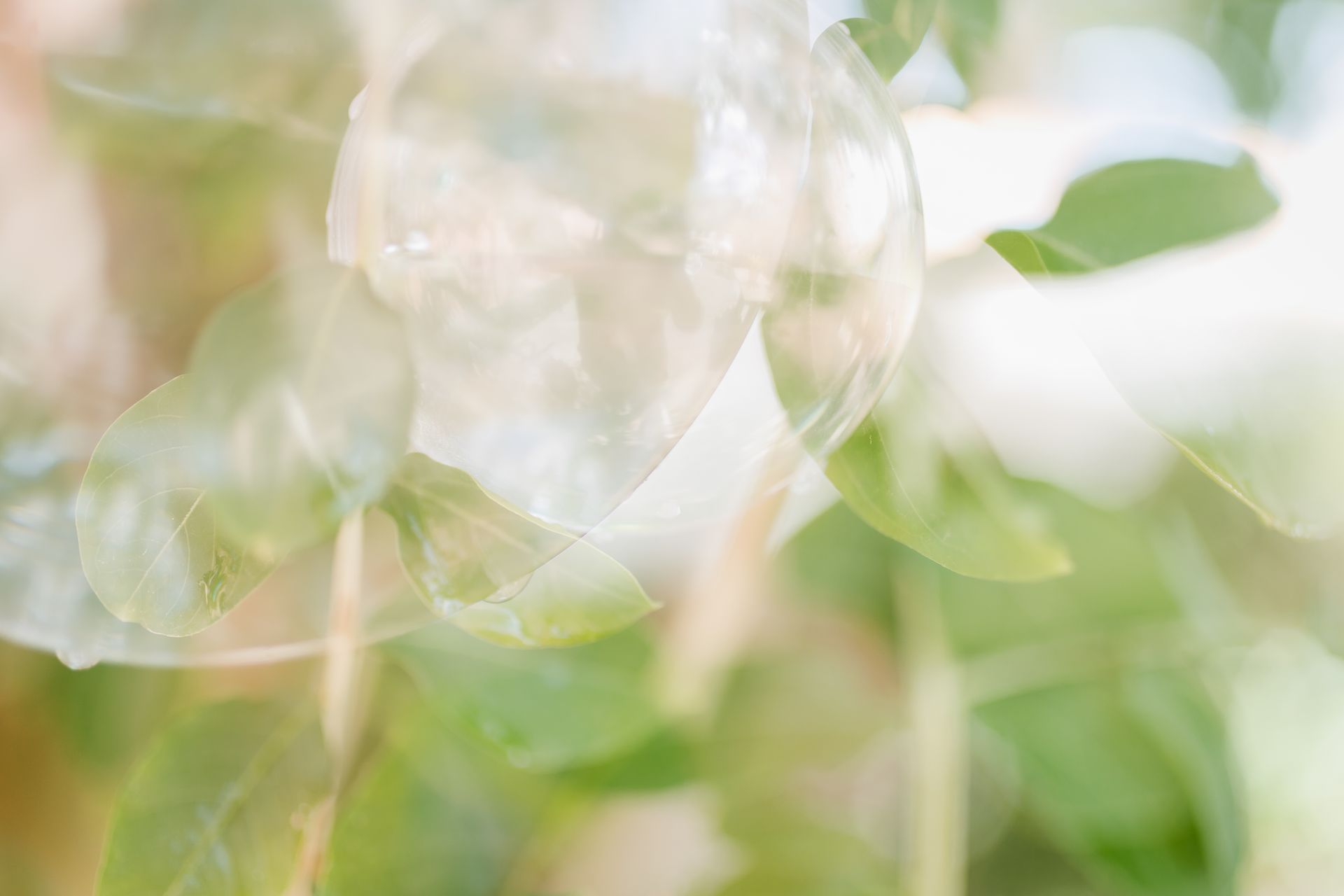 Semeando Água - 2 - 17