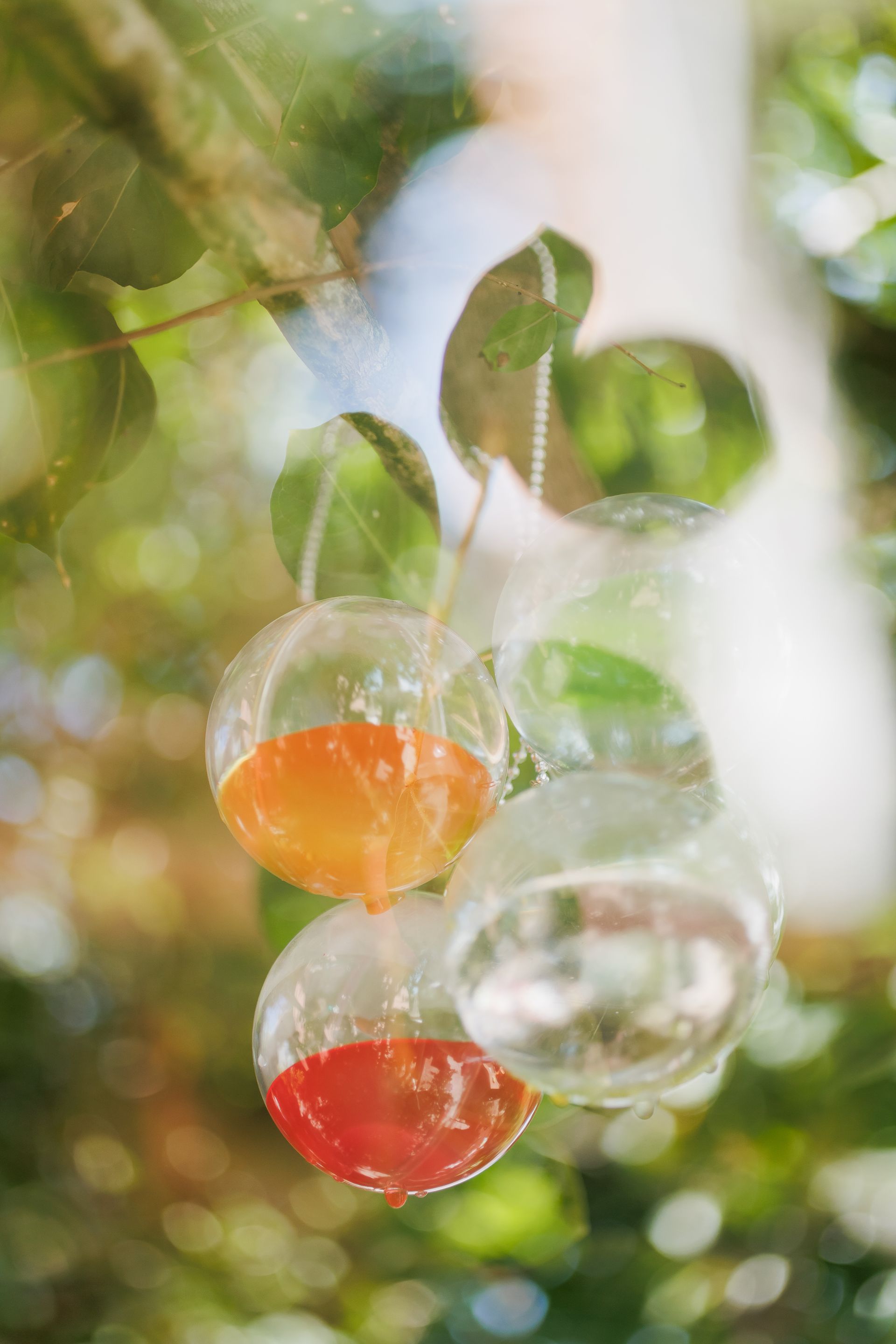 Semeando Água - 2 - 19