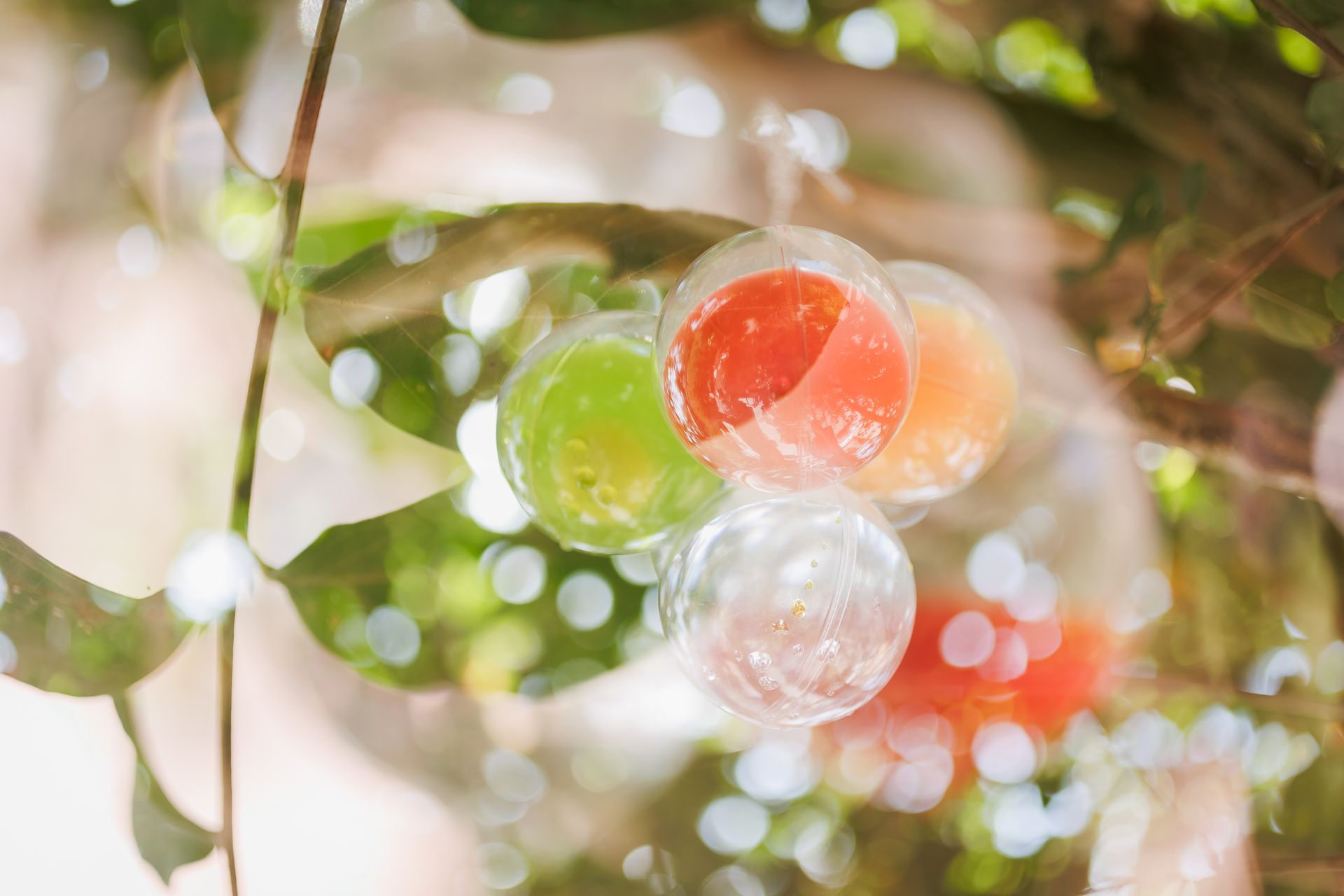 Semeando Água - 2 - 18