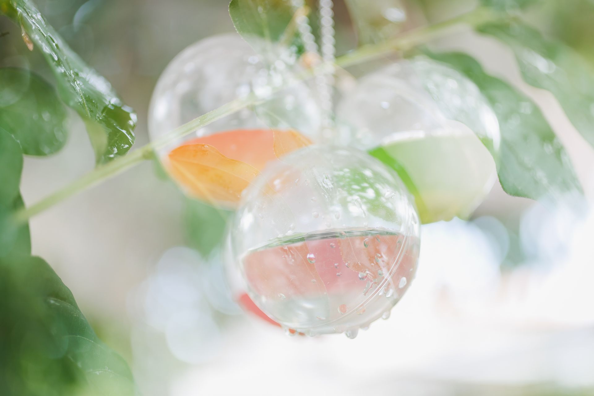 Semeando Água - 2 - 9