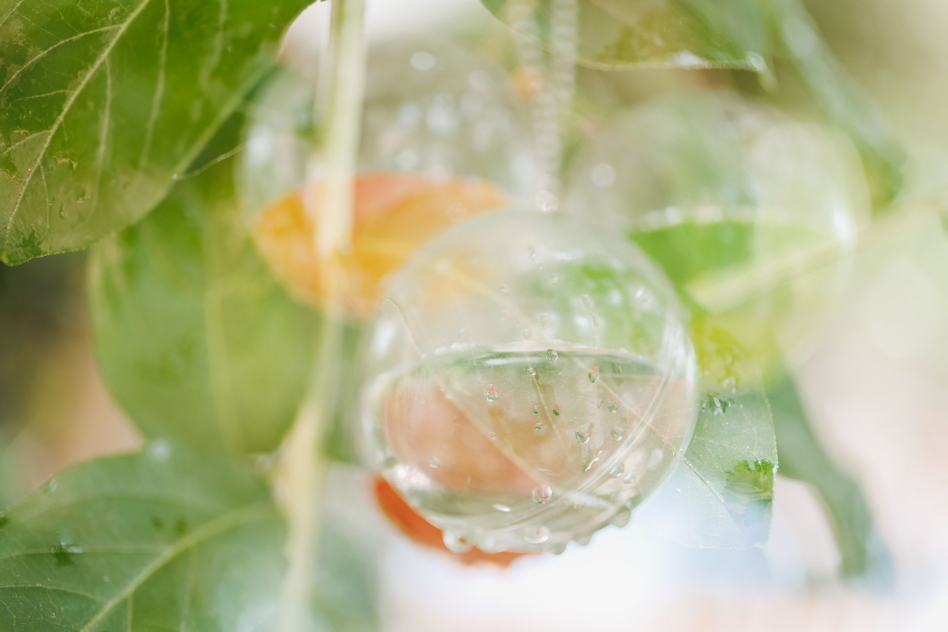 Semeando Água - 2 - 5