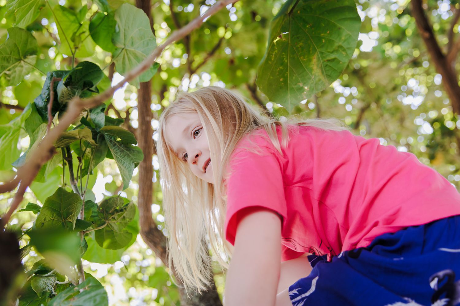 Como Capturar Momentos Inesquecíveis com sua Família em Sessões Fotográficas de Despedida - 2 - 19