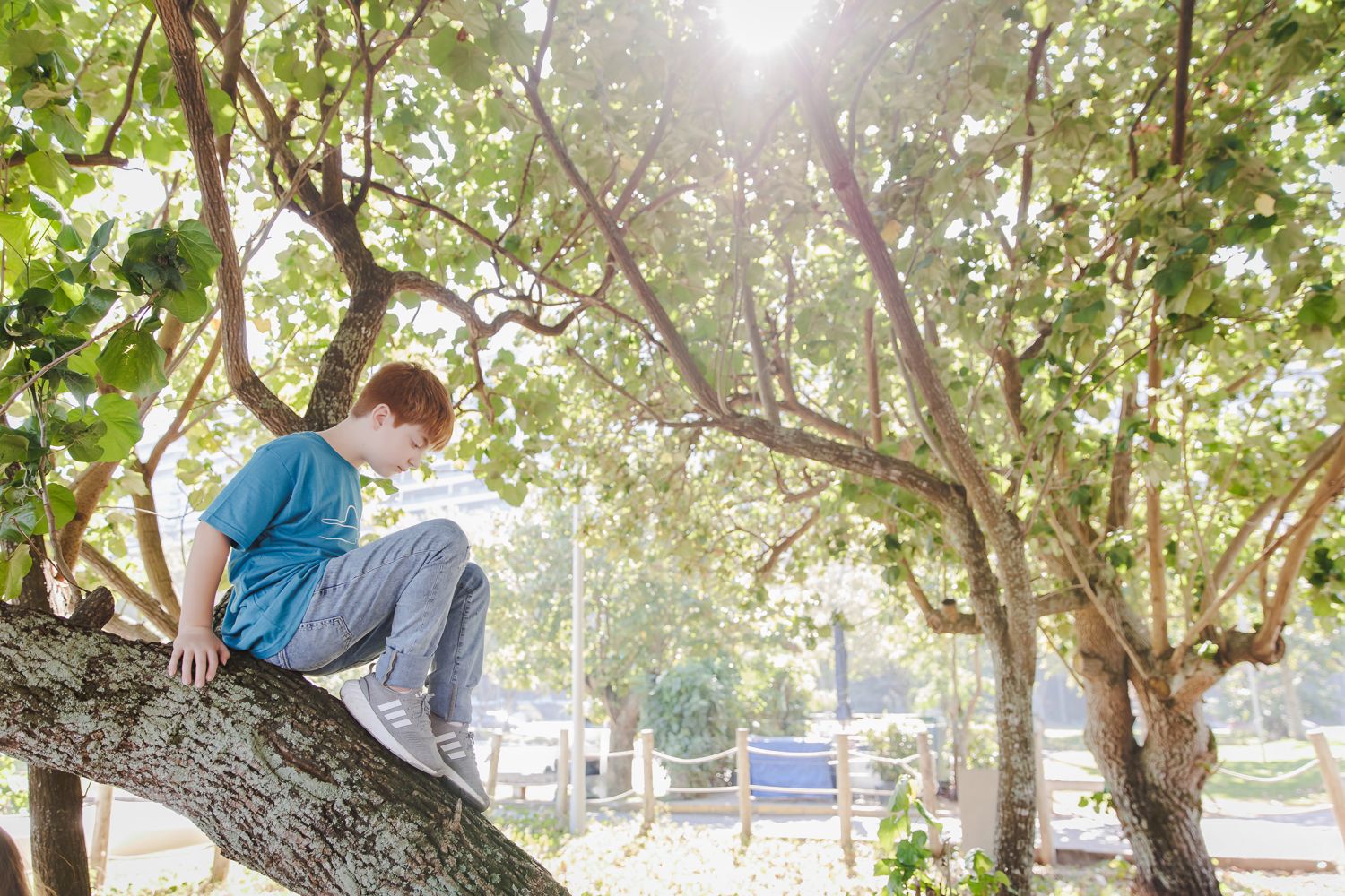 Como Capturar Momentos Inesquecíveis com sua Família em Sessões Fotográficas de Despedida - 2 - 23