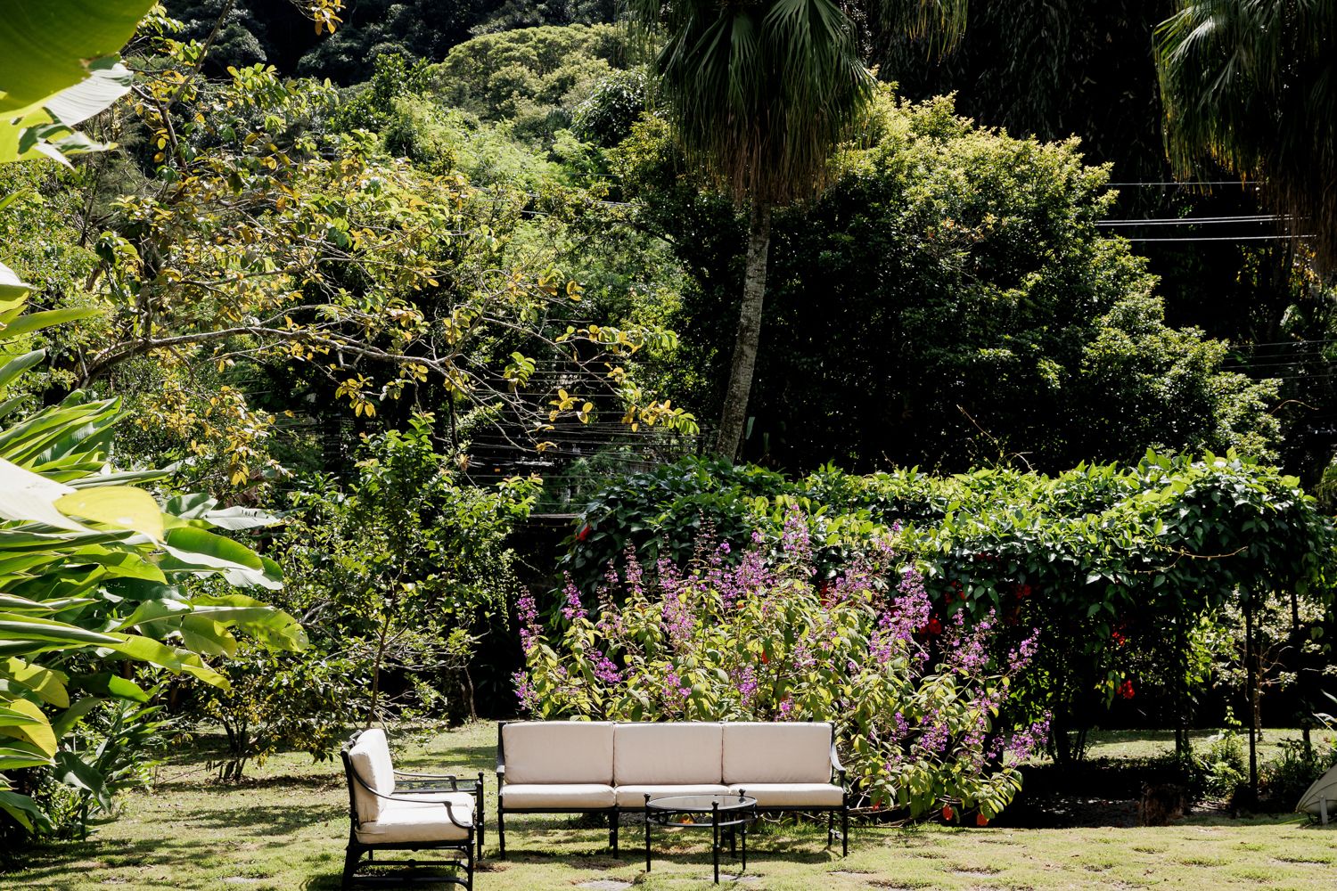 Capturando a Essência da Festa de 15 Anos da Sofia na Casa Jardins do Alto - 2 - 10