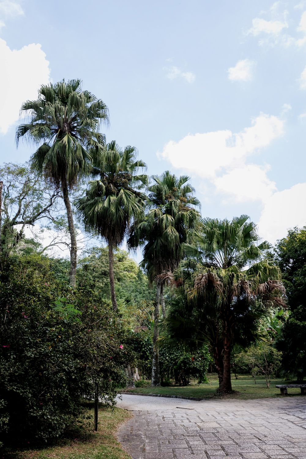 Capturando a Essência da Festa de 15 Anos da Sofia na Casa Jardins do Alto - 2 - 14