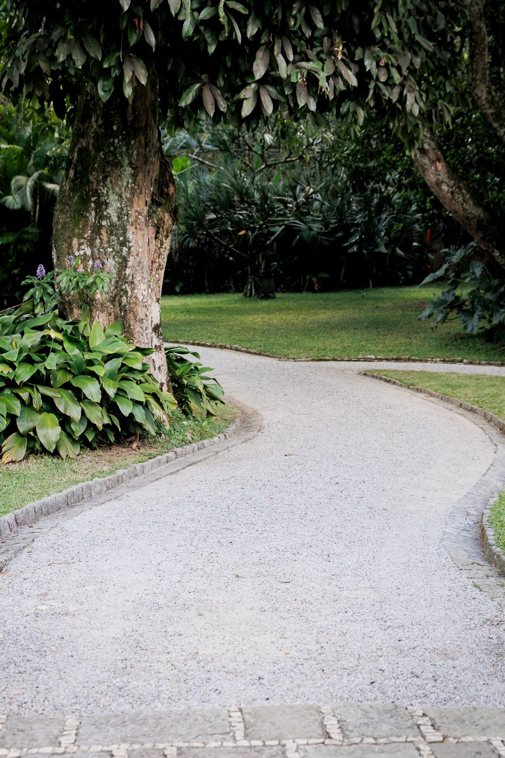 Capturando a Essência da Festa de 15 Anos da Sofia na Casa Jardins do Alto - 2 - 18