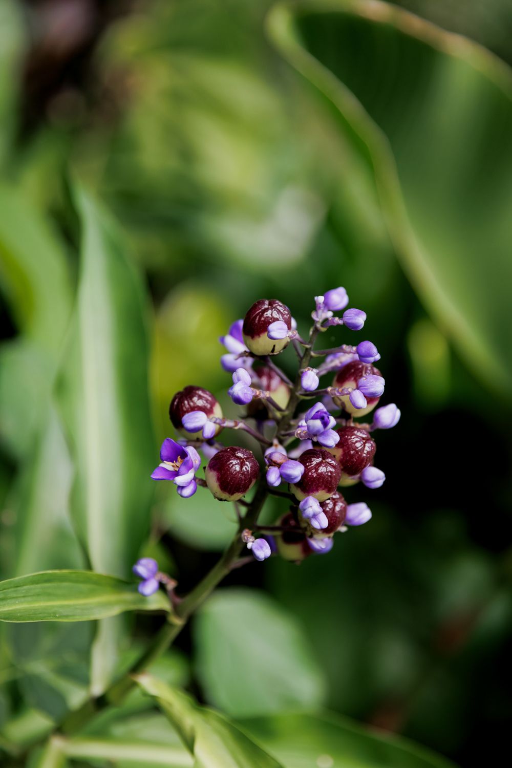 Capturando a Essência da Festa de 15 Anos da Sofia na Casa Jardins do Alto - 2 - 19