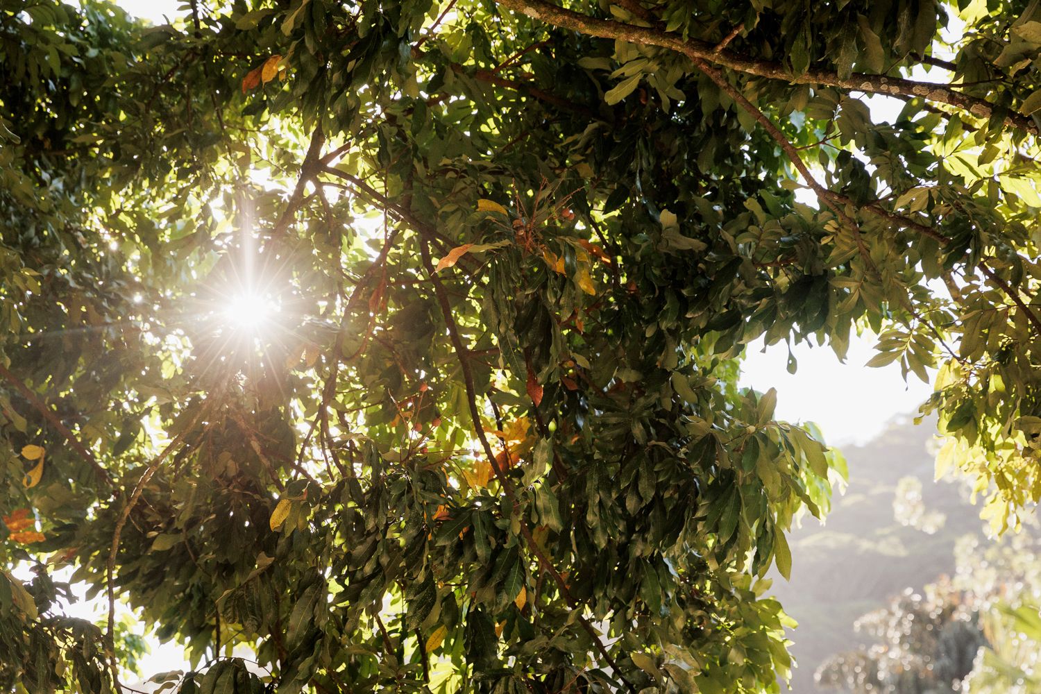 Capturando a Essência da Festa de 15 Anos da Sofia na Casa Jardins do Alto - 2 - 110
