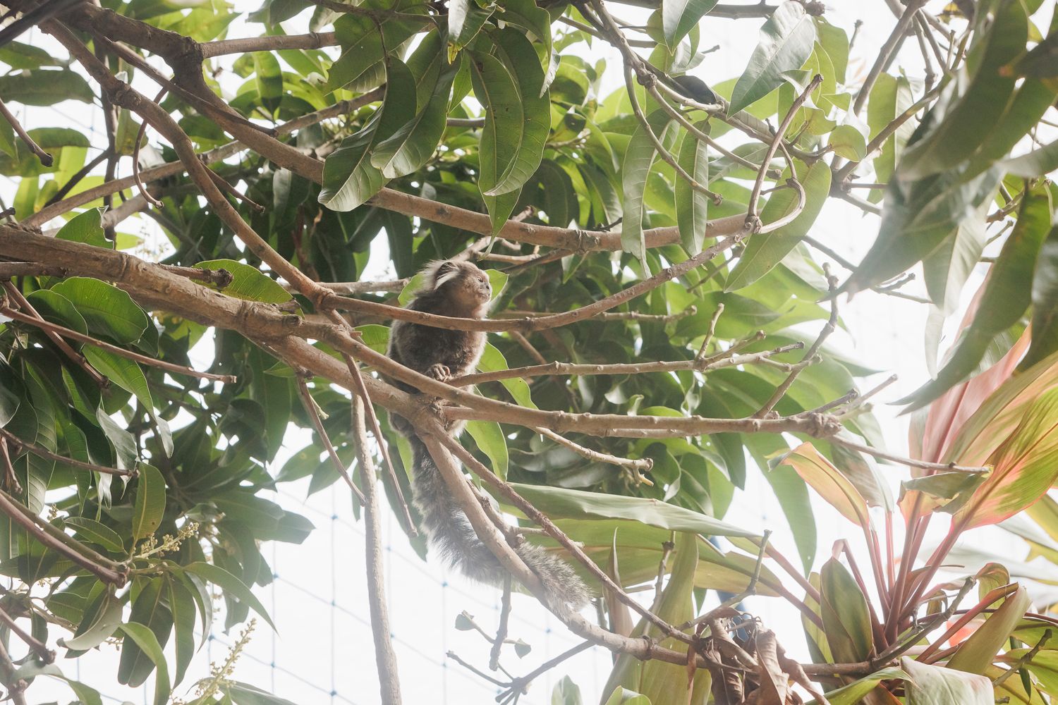 Campeonato de Futebol na Festa de 10 Anos do Antônio no Clube Federal, Leblon - 2 - 77