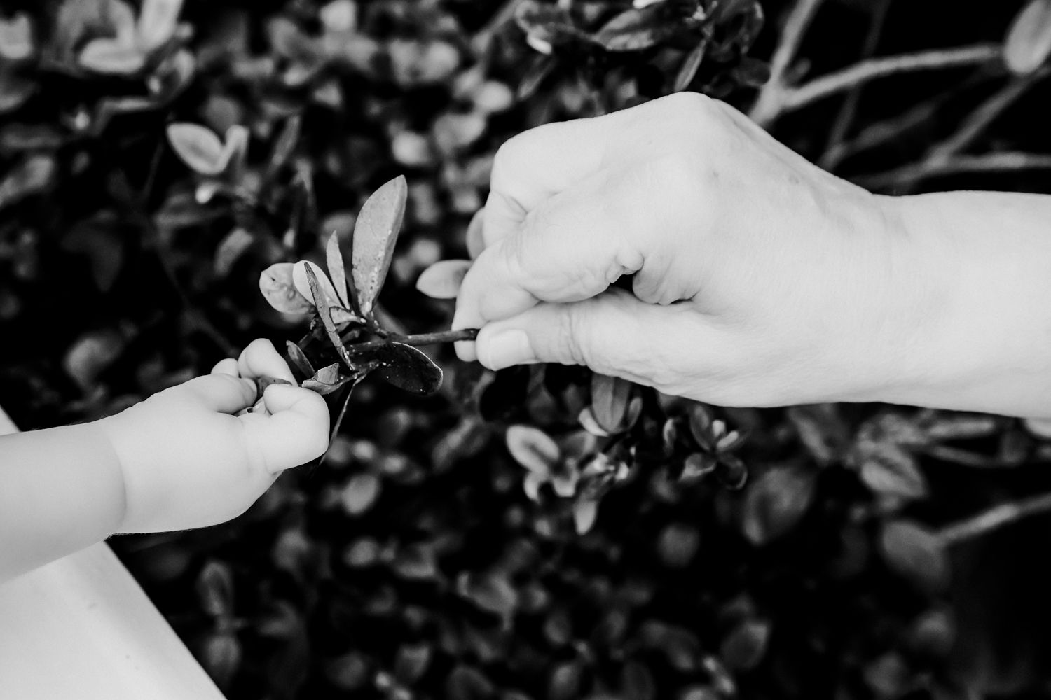 Um Batizado Cheio de Amor: Celebrando o Pequeno Arthur - 2 - 47