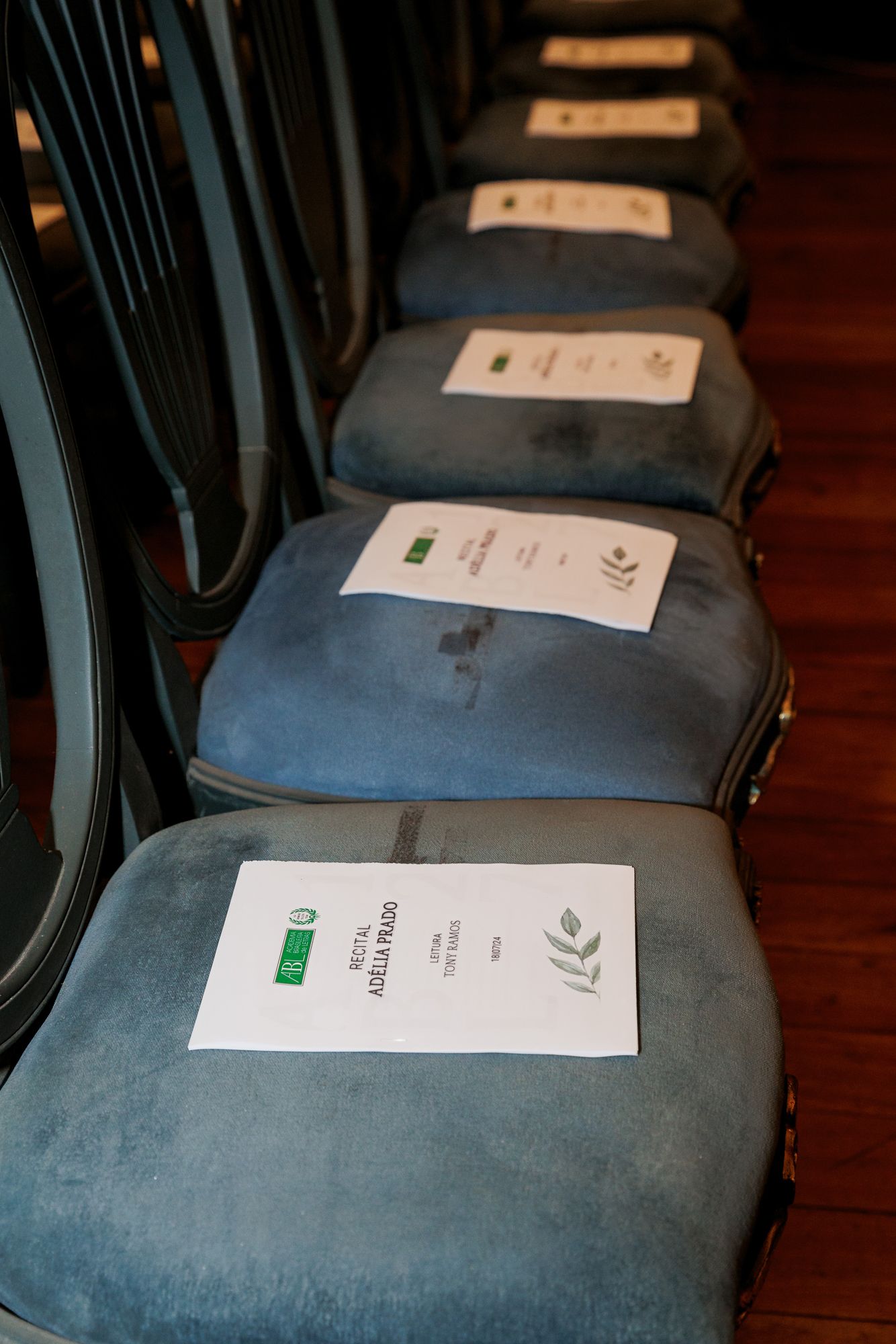 Academia Brasileira de Letras Celebra 127 Anos com Homenagens e Premiações - 2 - 99