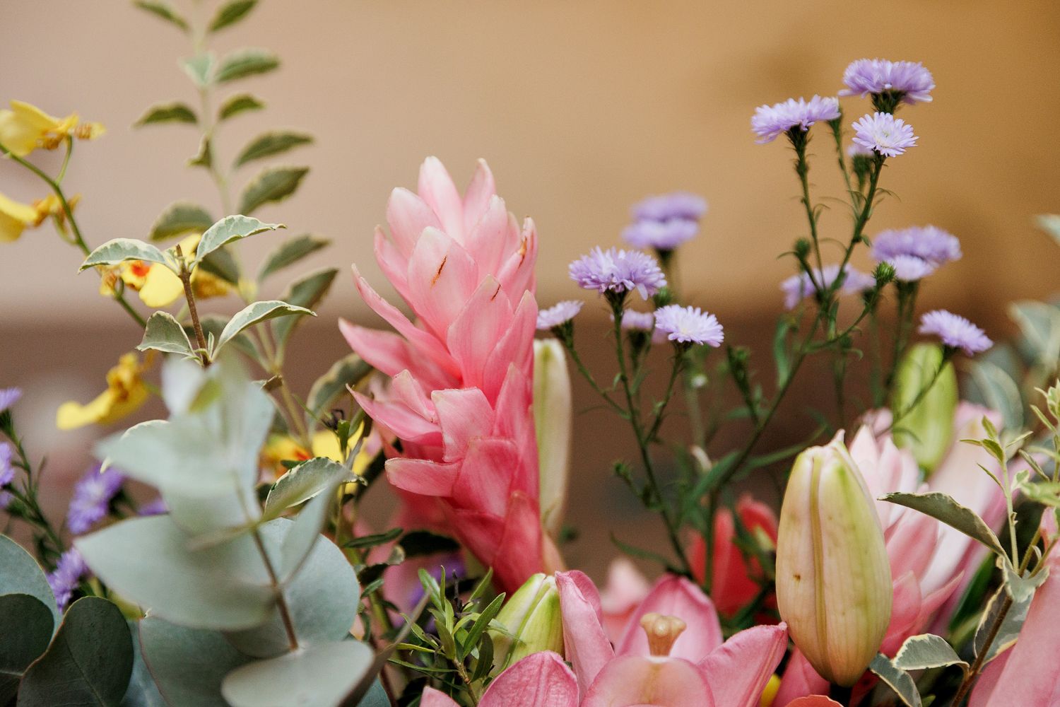 Guia Completo para Ensaios em Locações Externas: Destaque Profissional e Autenticidade - 2 - 5