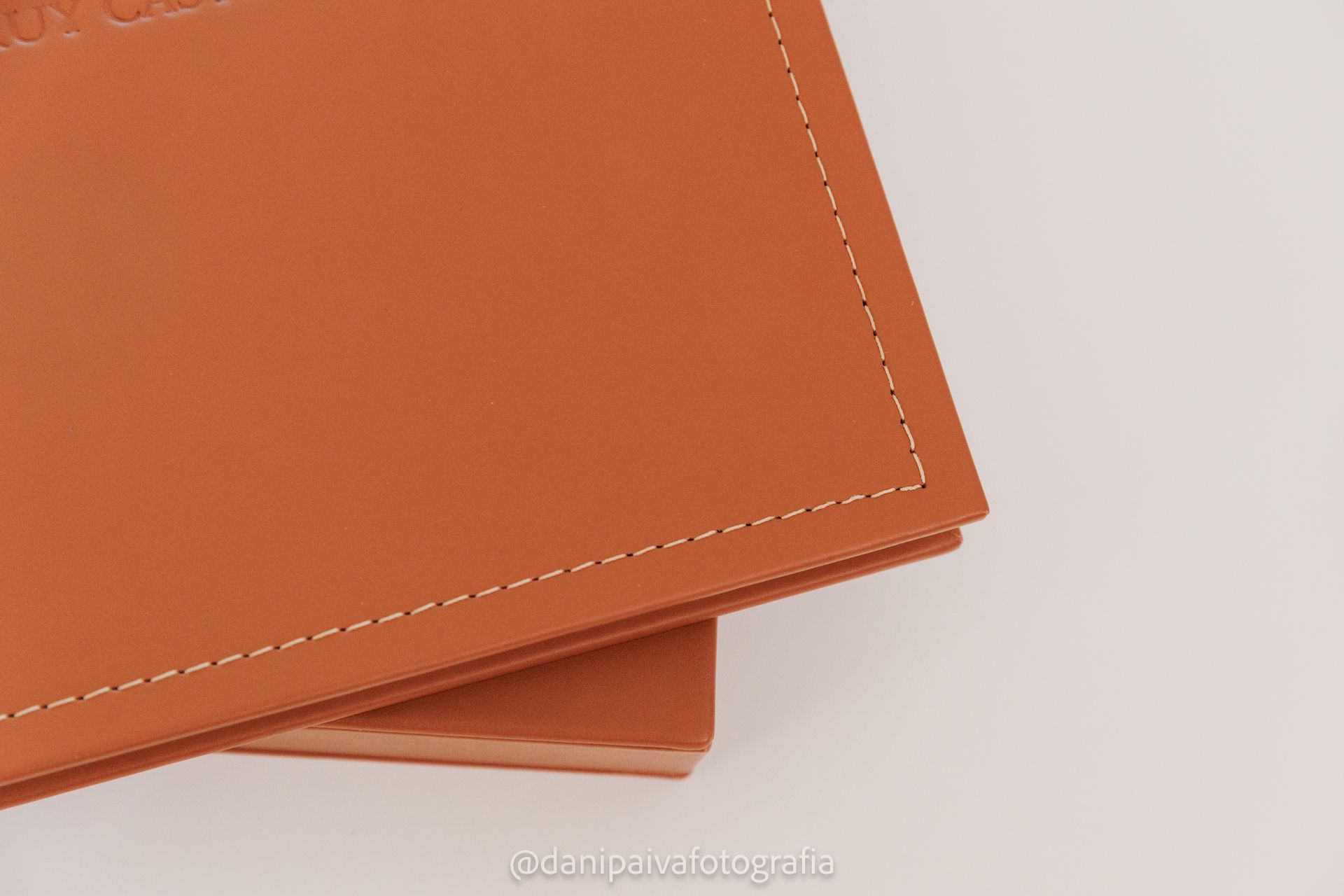 Produção de Álbum Fotográfico do Imortal Ruy Castro - 2 - 0